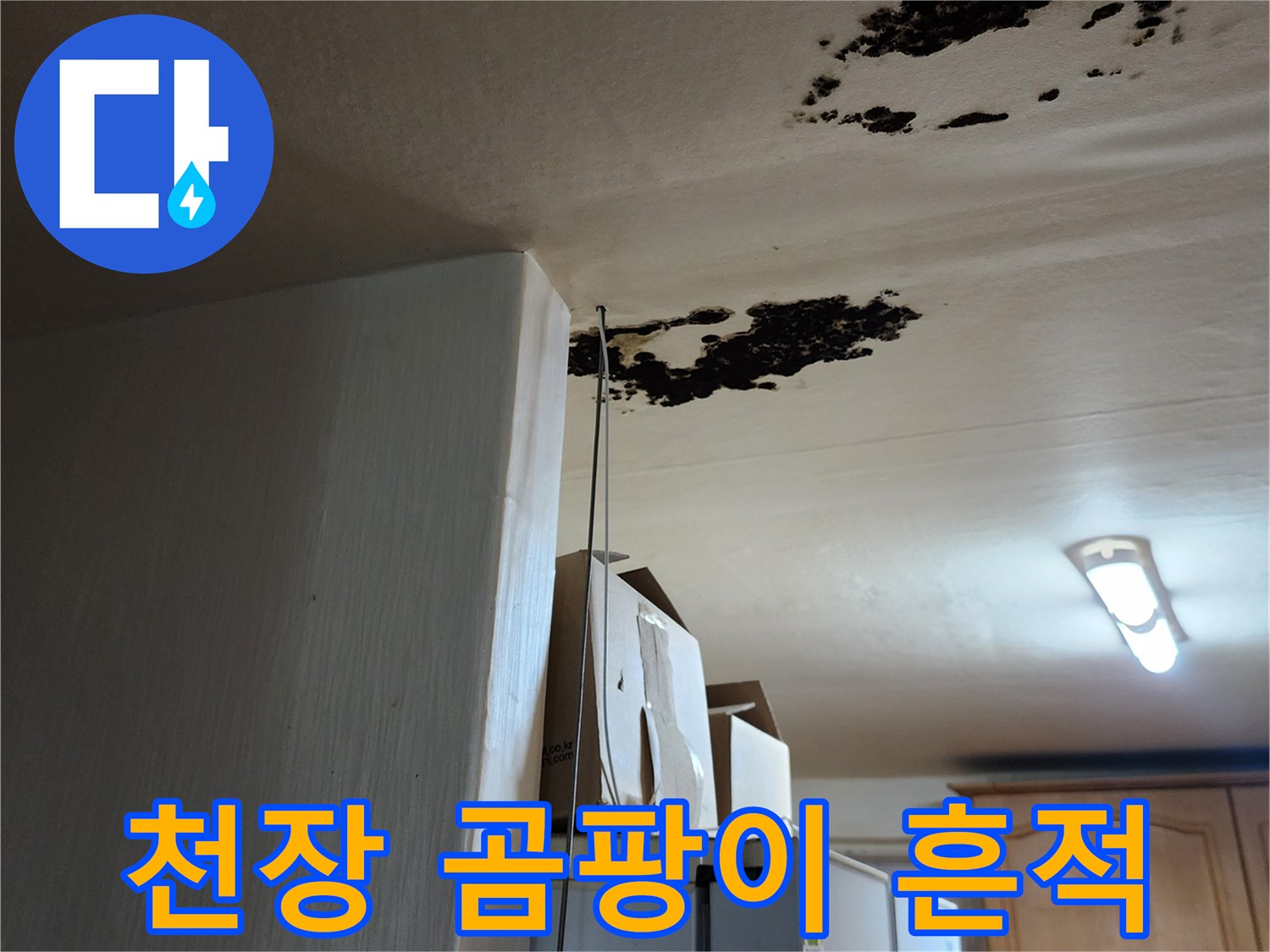 누수로 인해 검게 변색된 천장 마감재 표면