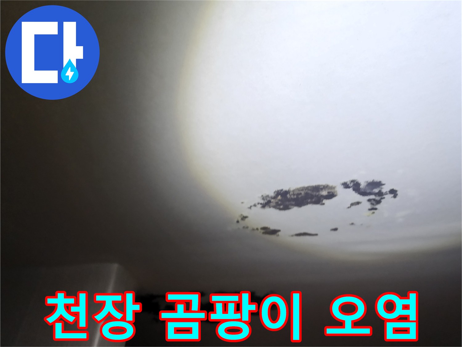 누수로 인해 검게 얼룩진 천장 벽지 표면