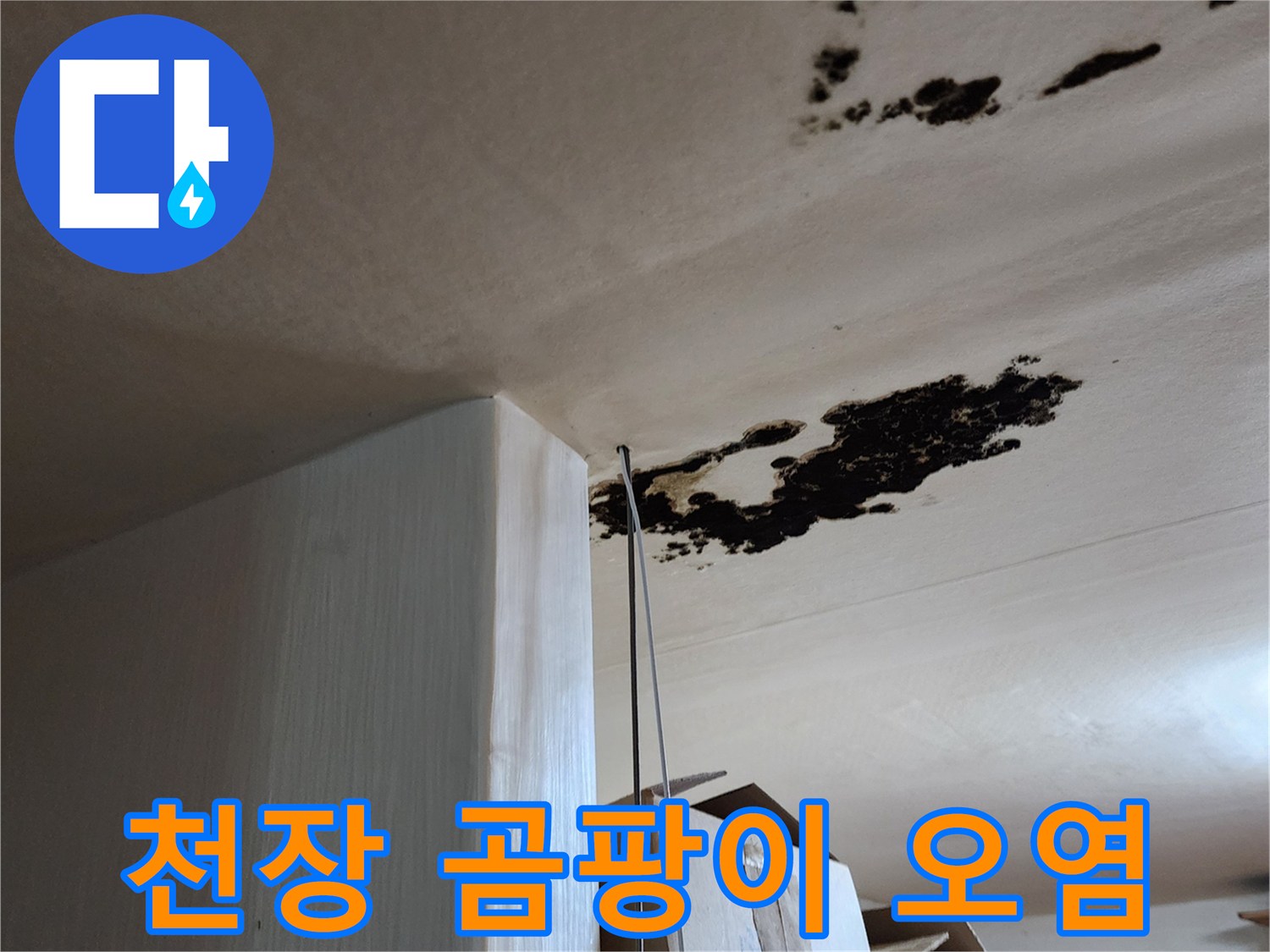 누수로 인해 변색되고 곰팡이가 생긴 천장 부위