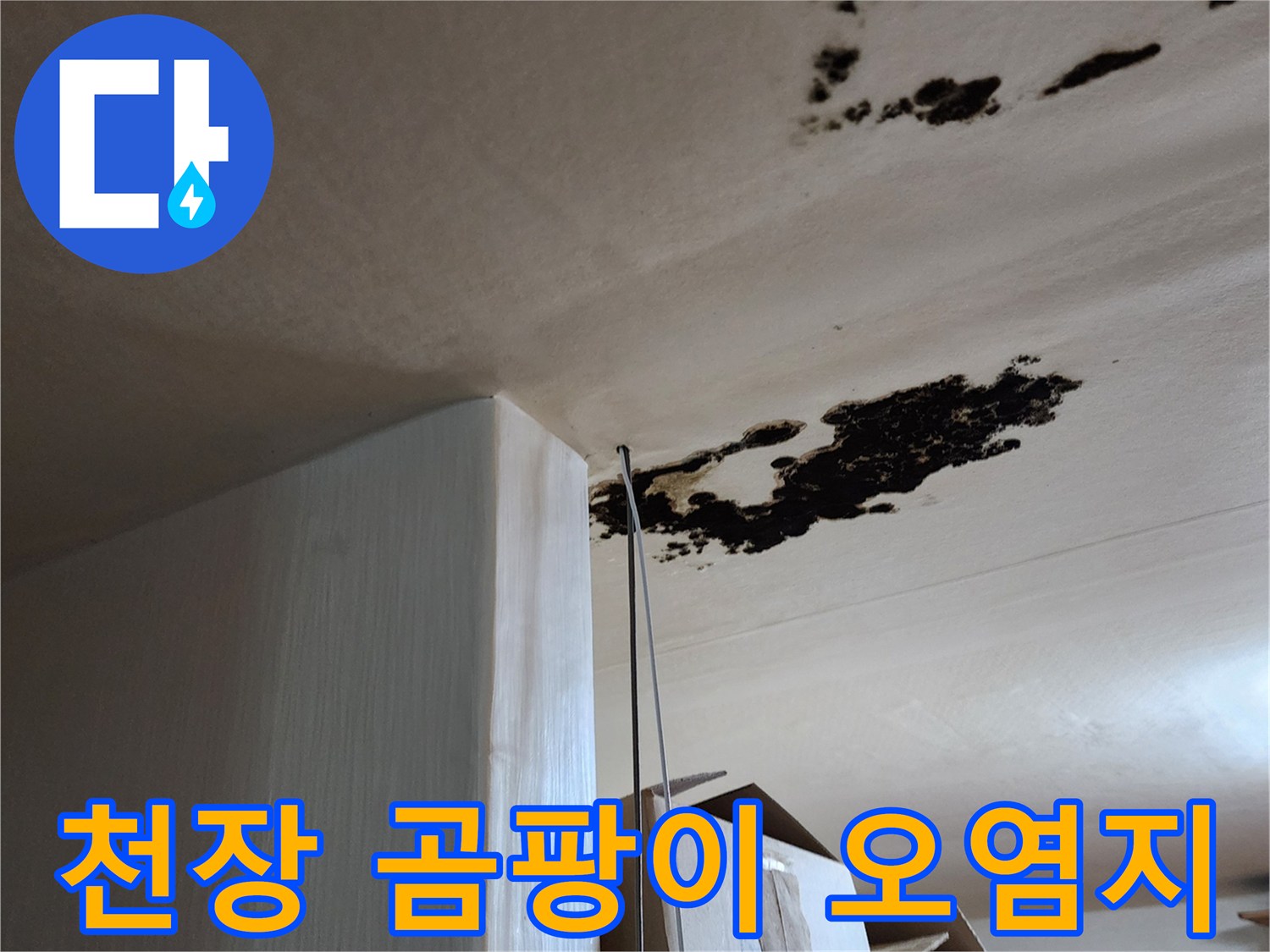 물샘 흔적이 남은 천장의 검은 곰팡이 부위
