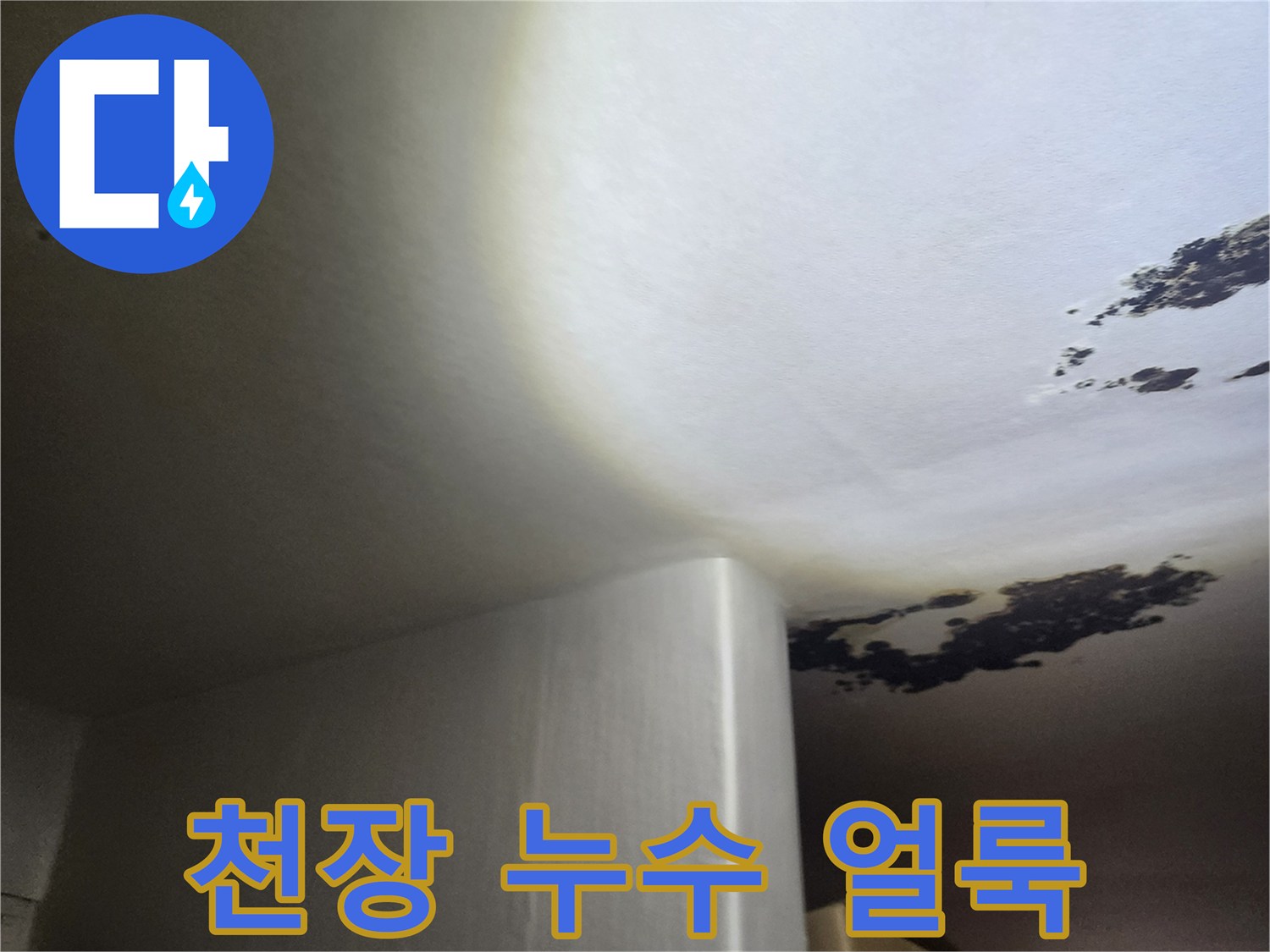 물샘으로 인한 천장 곰팡이 발생