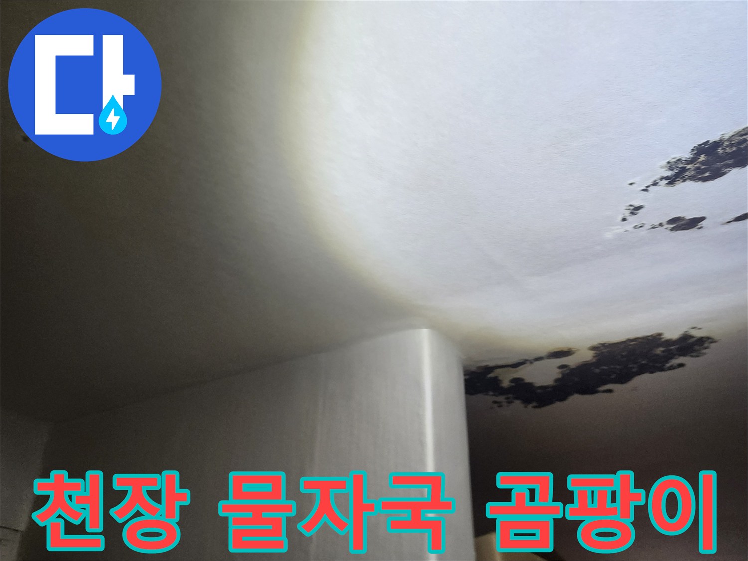 주방 천장 벽면-심하게 변색된 곰팡이와 습기 오염 부위
