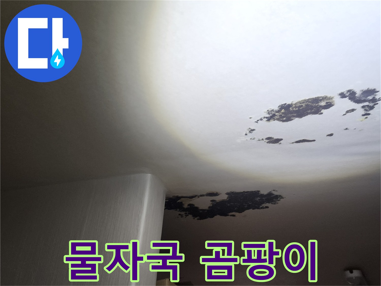 천장 마감재-곰팡이와 물 얼룩이 심한 현장 사진