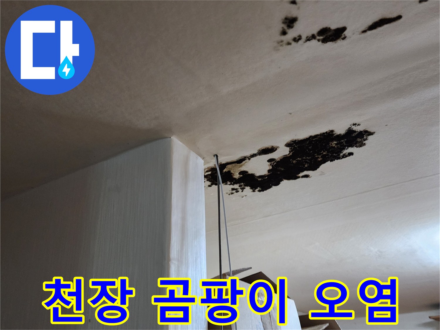 천장 마감재에 나타난 심각한 누수 흔적과 곰팡이
