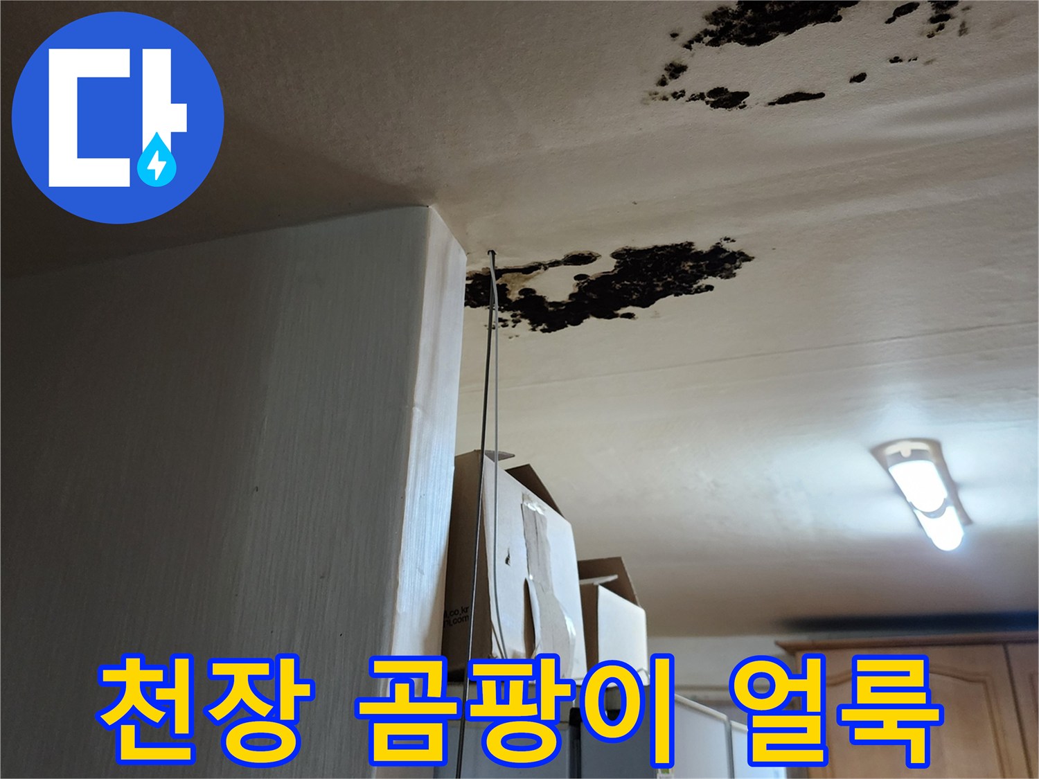 천장 마감재에 발생한 검은 곰팡이와 물 흐른 자국