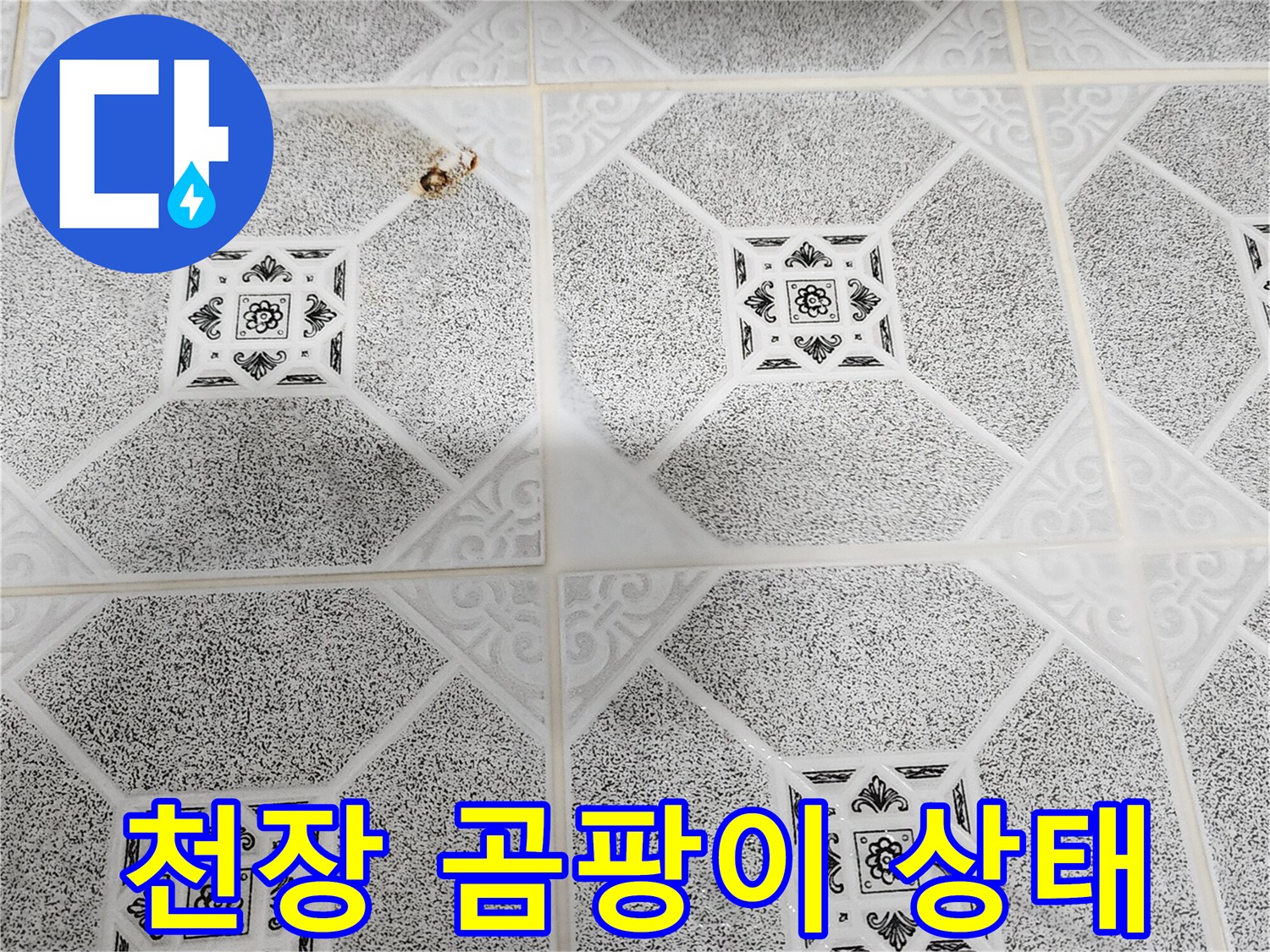 천장 마감재에 발생한 검은 곰팡이와 습기 흔적