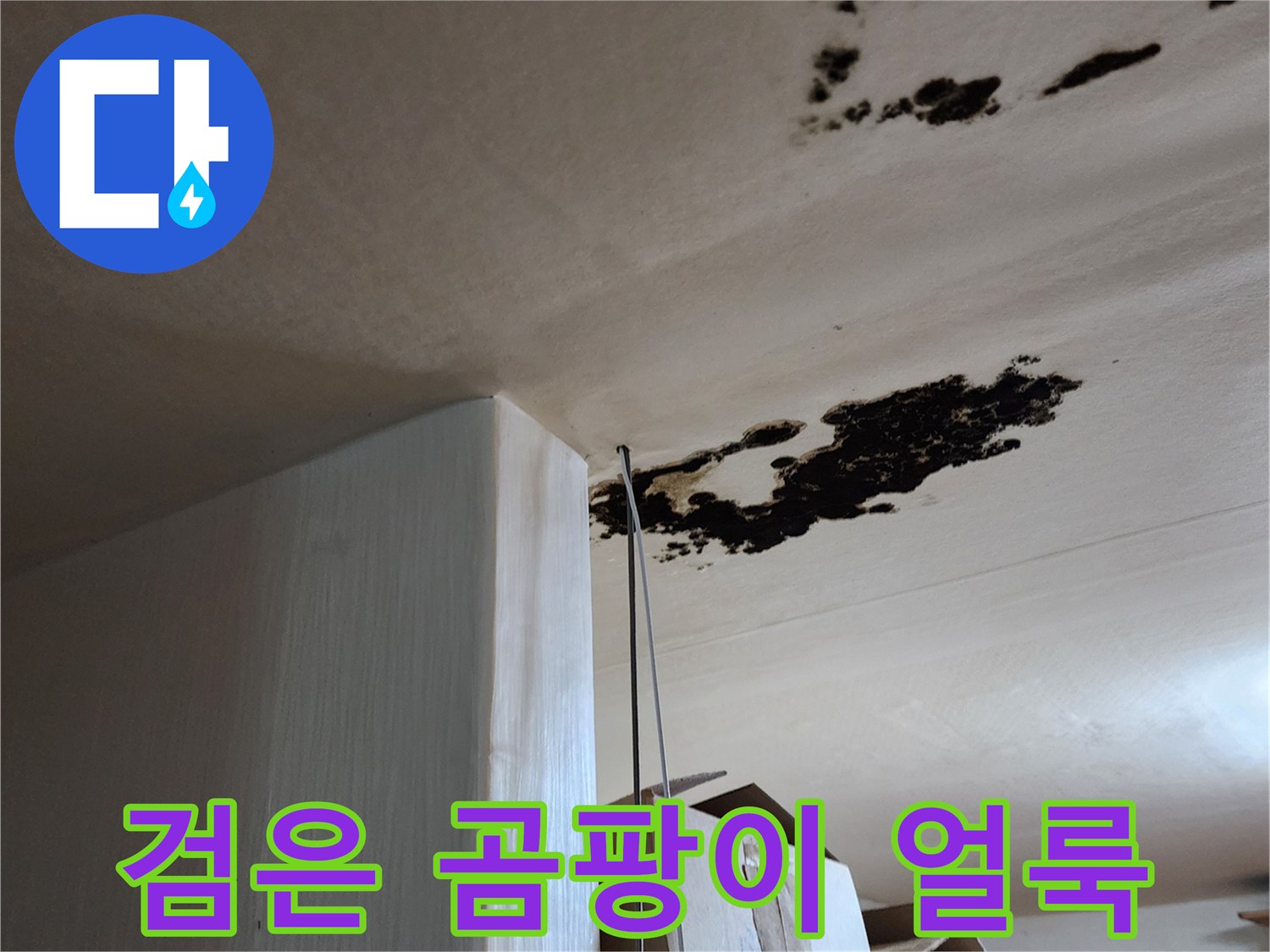 천장에 발생한 검은색 곰팡이와 습기 흔적