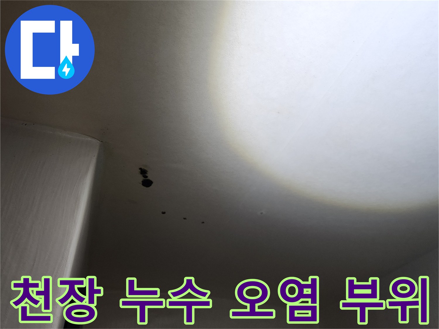 포천 구읍리 건물 내부-물이 번진 천장의 곰팡이 발생 상태