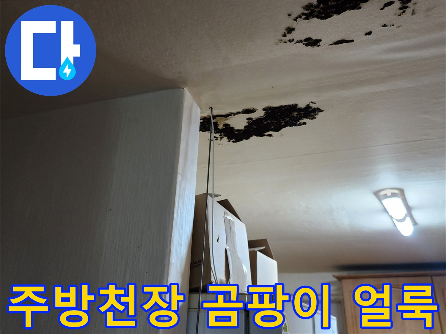 포천 구읍리 주방-천장에 발생한 검은 곰팡이와 물 얼룩 상태입니다.