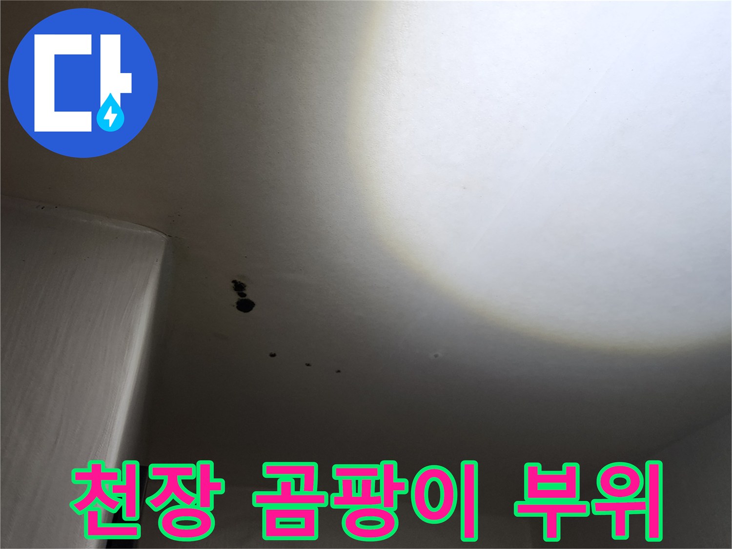 포천 구읍리 현장-검게 변한 천장 곰패와 습기 흔적 확인