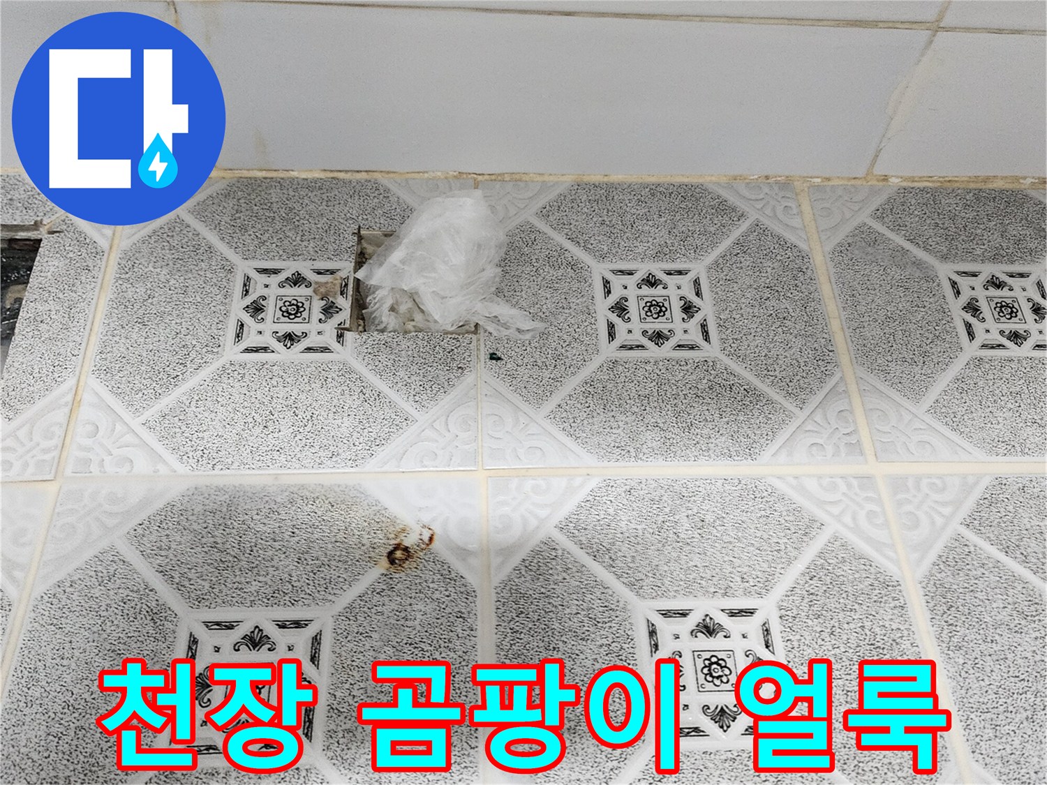포천 구읍리 현장-천장재에 발생한 검은색 곰팡이 자국
