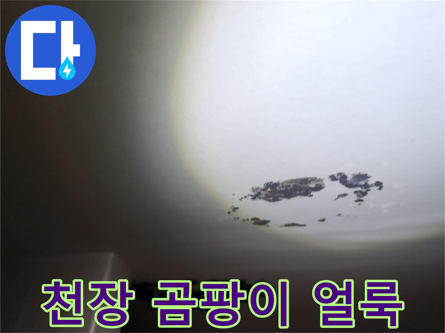 포천 구읍리 현장의 천장 곰팡이와 물 얼룩 상태