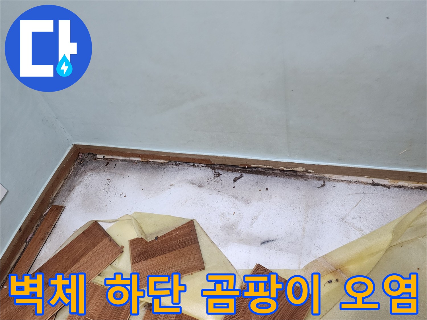누수 점검 중 발견된-벽면 하단의 검은색 곰패와 습기 흔적