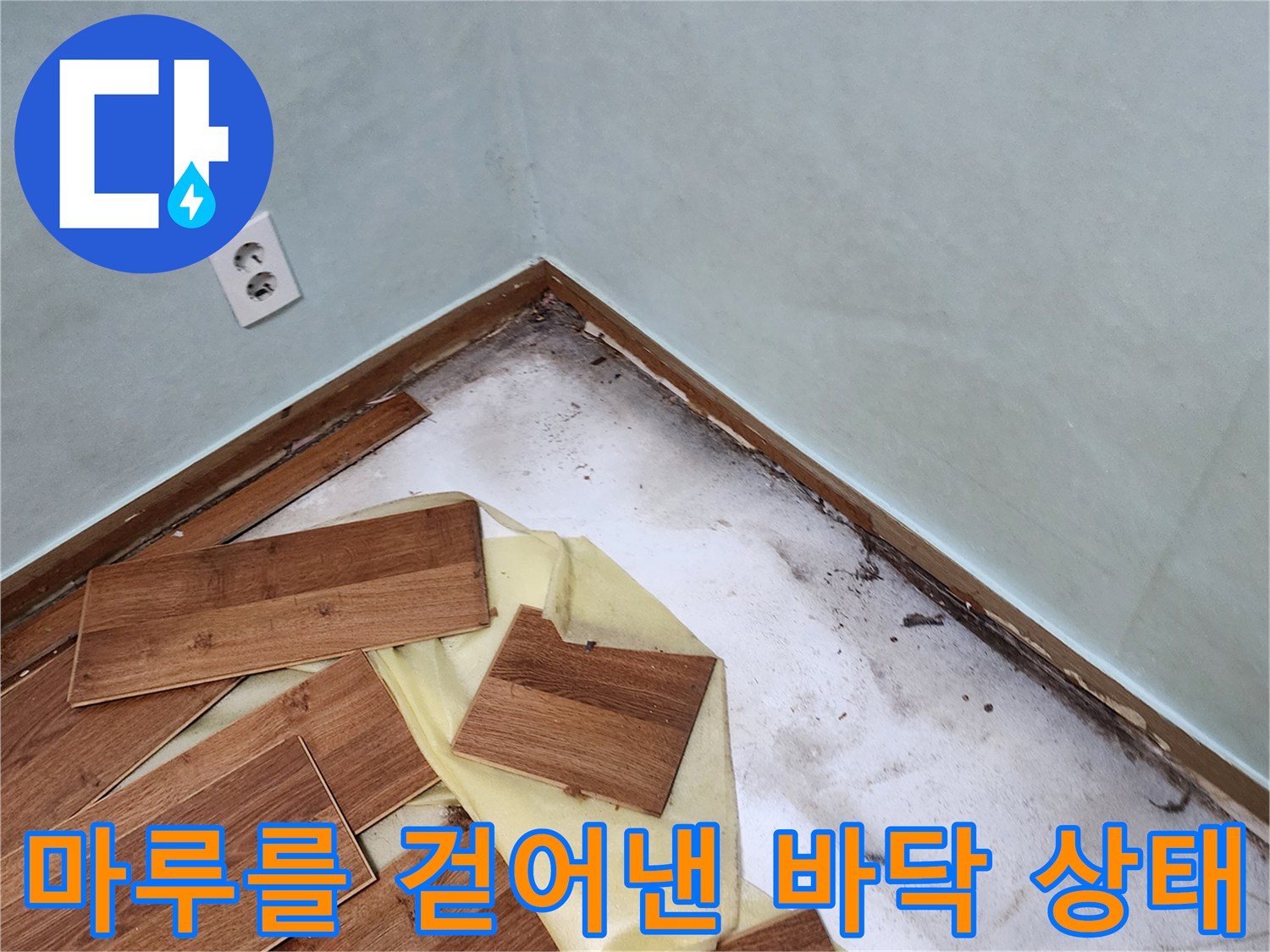 마루 바닥재를 제거한 후 드러난 벽체 접합부의 습기와 오염 상태
