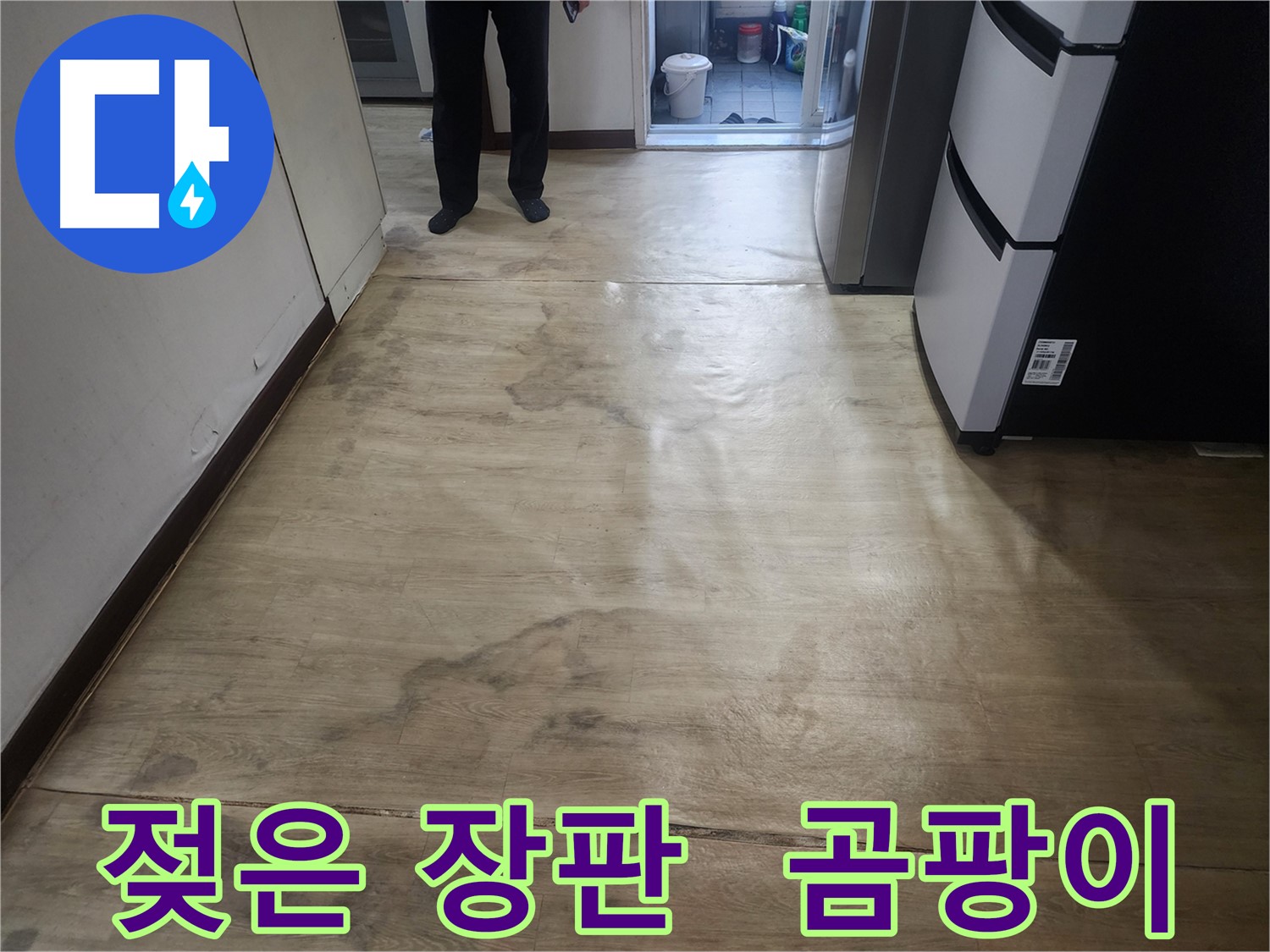 권선구 아파트 누수 - 젖은 장판과 곰팡이 냄새, 누수 원인 의심 - 즉시 점검 필요