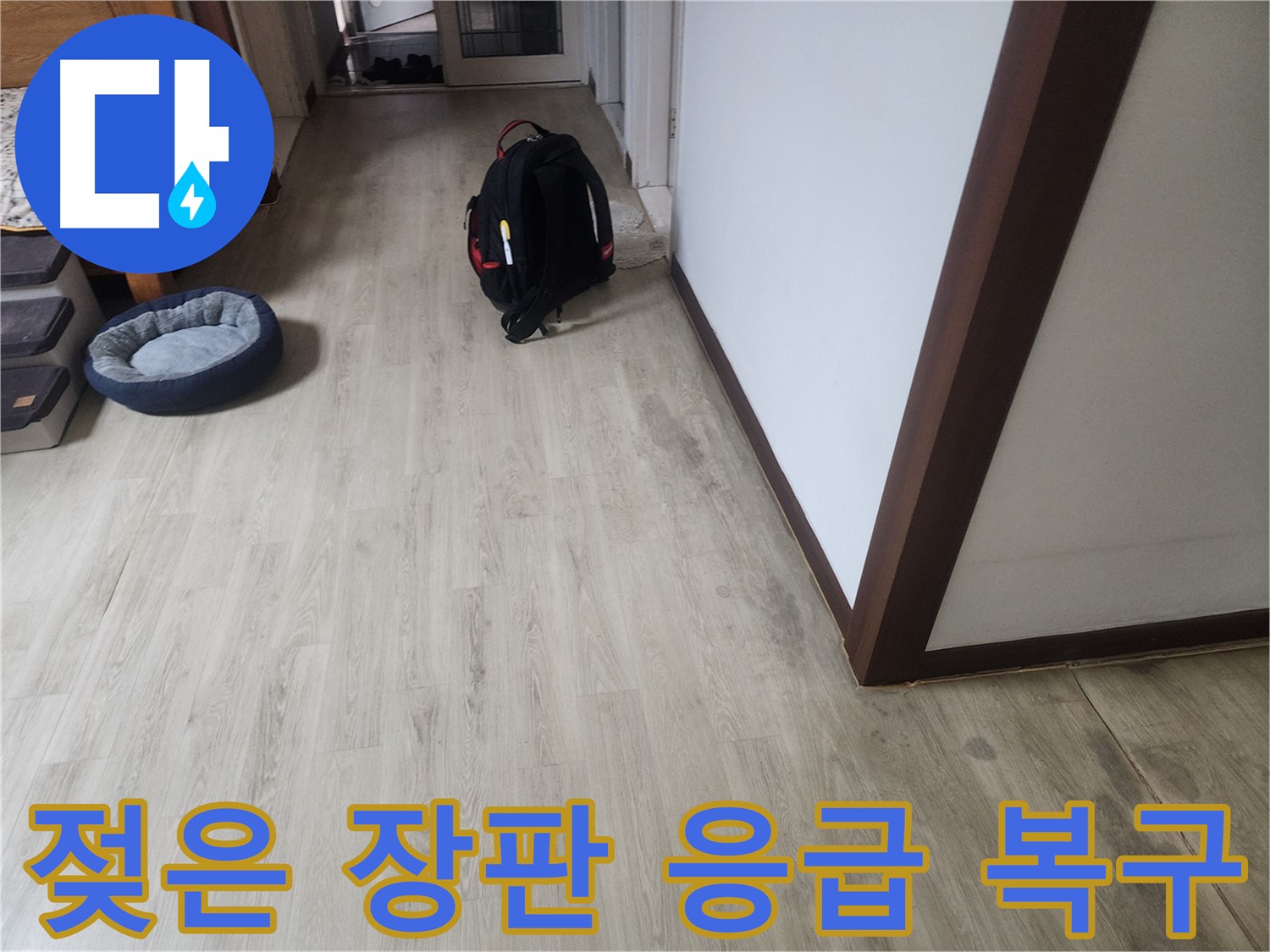 권선동 아파트 누수 - 젖은 장판 응급 복구 서비스 제공