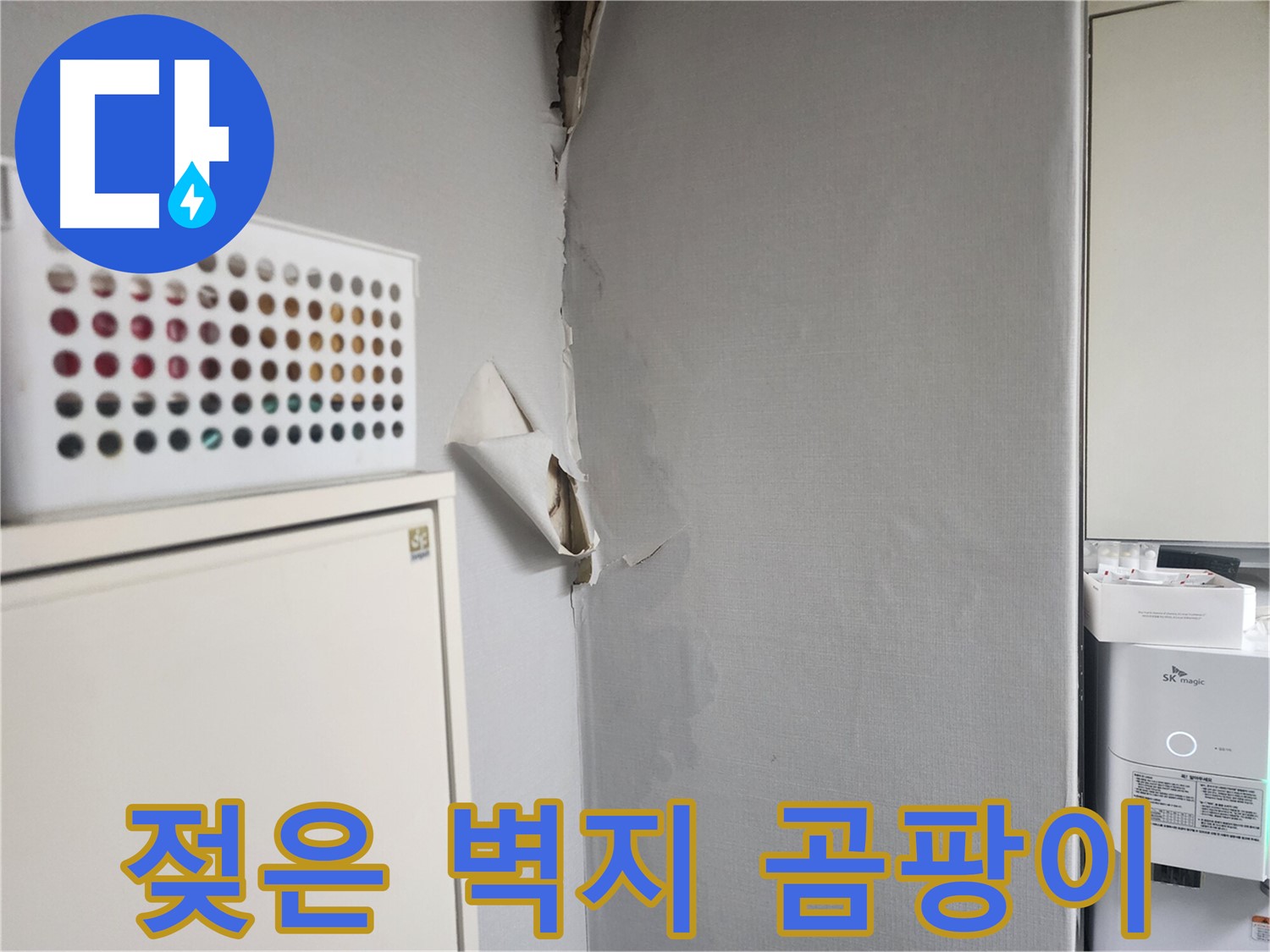 수원 권선구 천장 - 젖은 벽지와 곰팡이 초기 발견 - 누수 의심