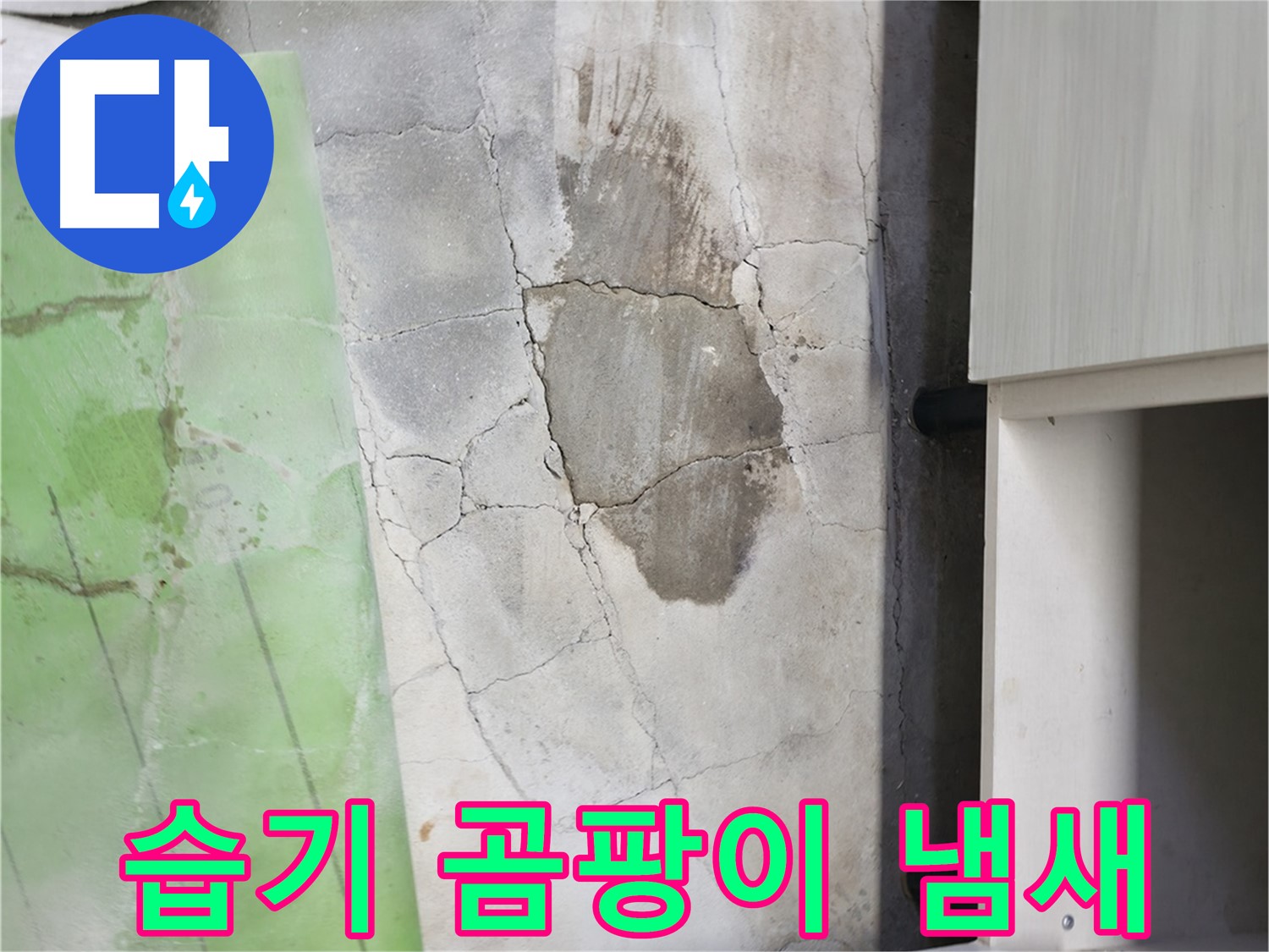 포천 누수탐지 - 신읍동 선경빌라 바닥 습기와 곰팡이 냄새, 누수 의심