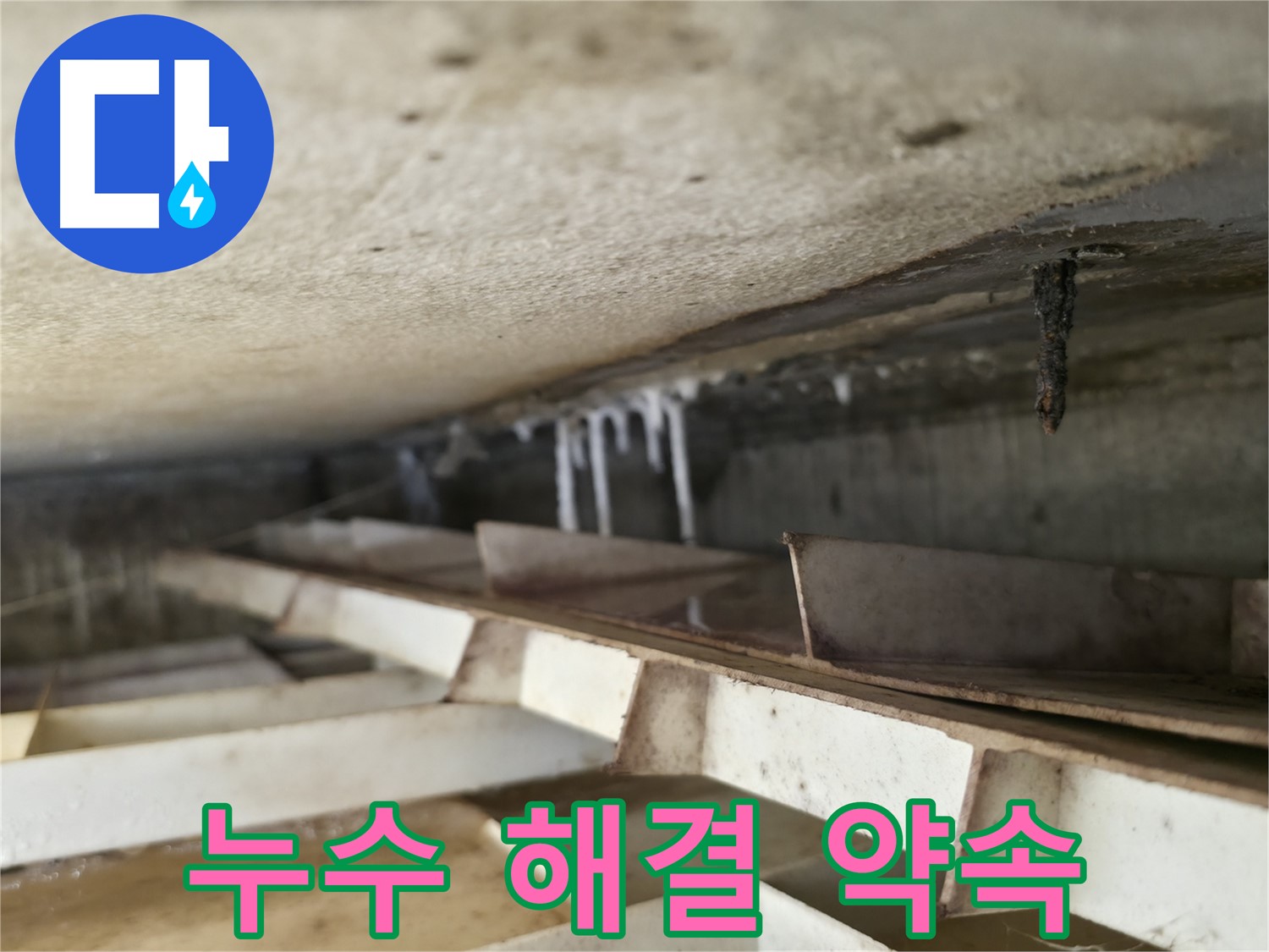 금천구 누수 전문가 - 독산동 현진아트빌 슬라브 누수 완벽 해결을 약속드립니다.