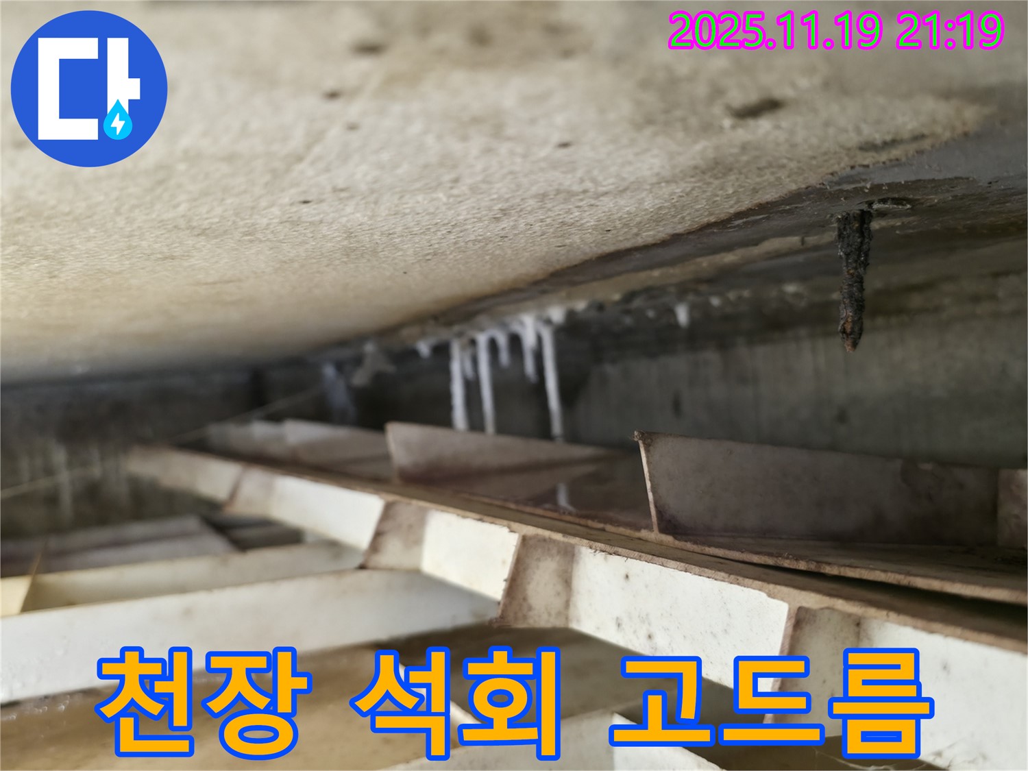 독산동 누수 - 천장에서 떨어진 석회수 고드름 - 누수의 흔적을 보여줍니다.