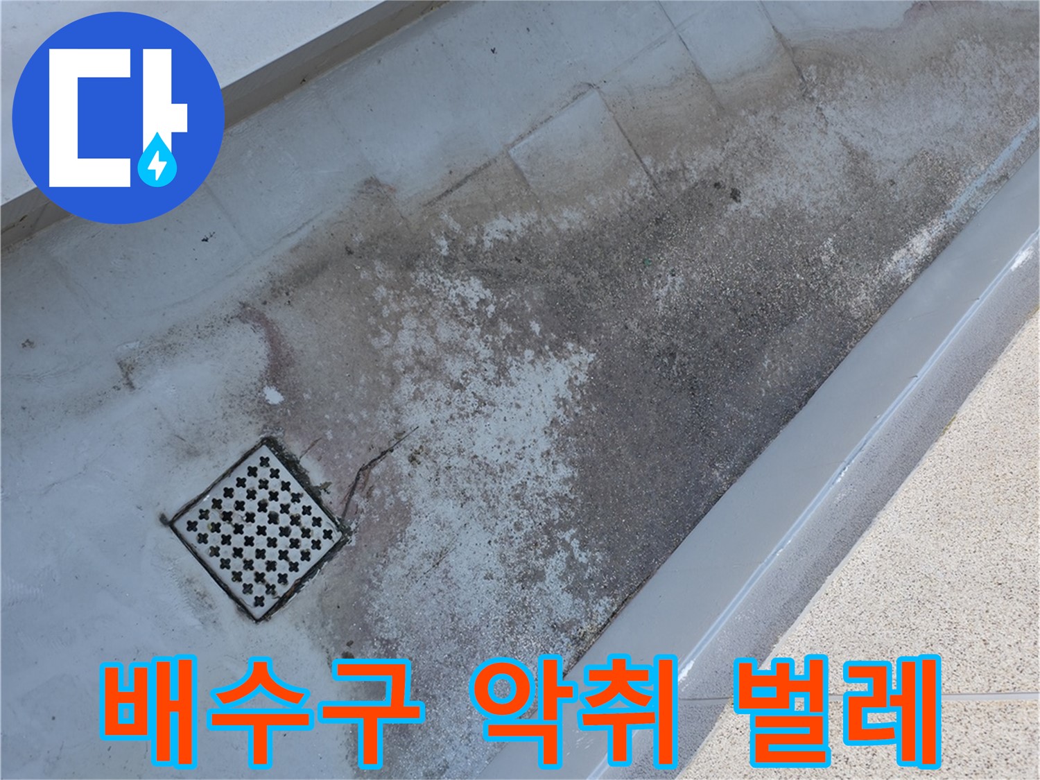 독산동 베란다 배수구 주변 악취 및 벌레 꼬임 - 누수와 관련된 문제일 수 있습니다.