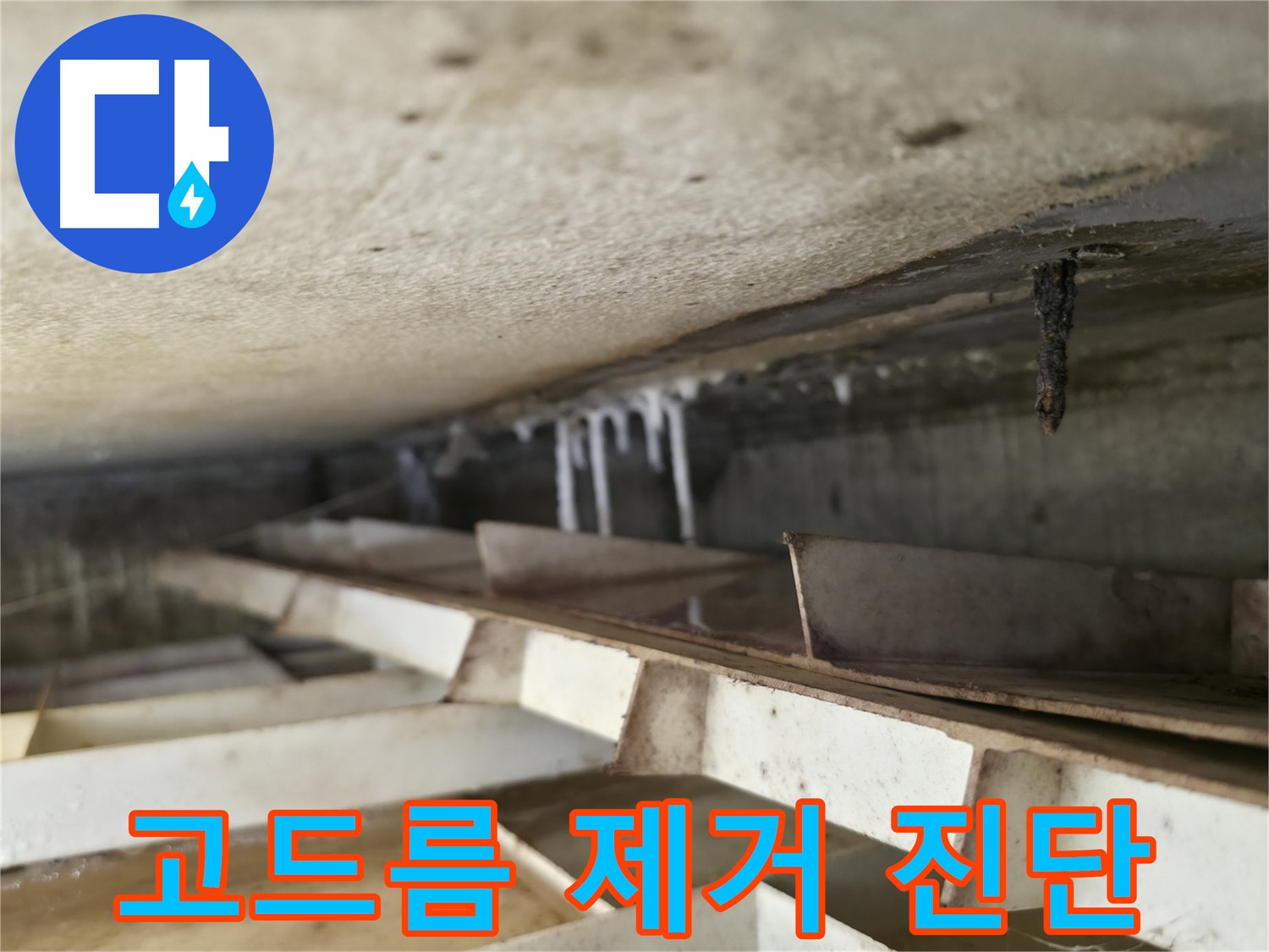 독산동 현진아트빌 누수 - 석회수 고드름 제거 후 누수 원인을 정밀하게 진단하고 있습니다.