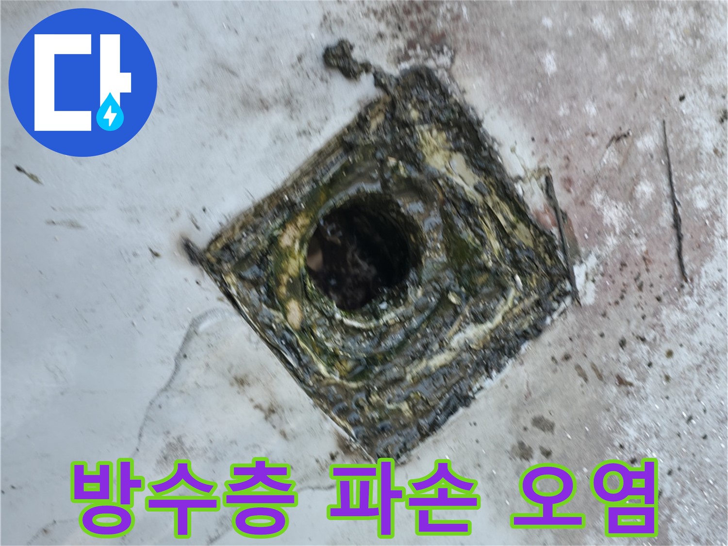 독산로43가길 옥상 드레인 주변 방수층 파손 - 심한 오염 - 누수 발생