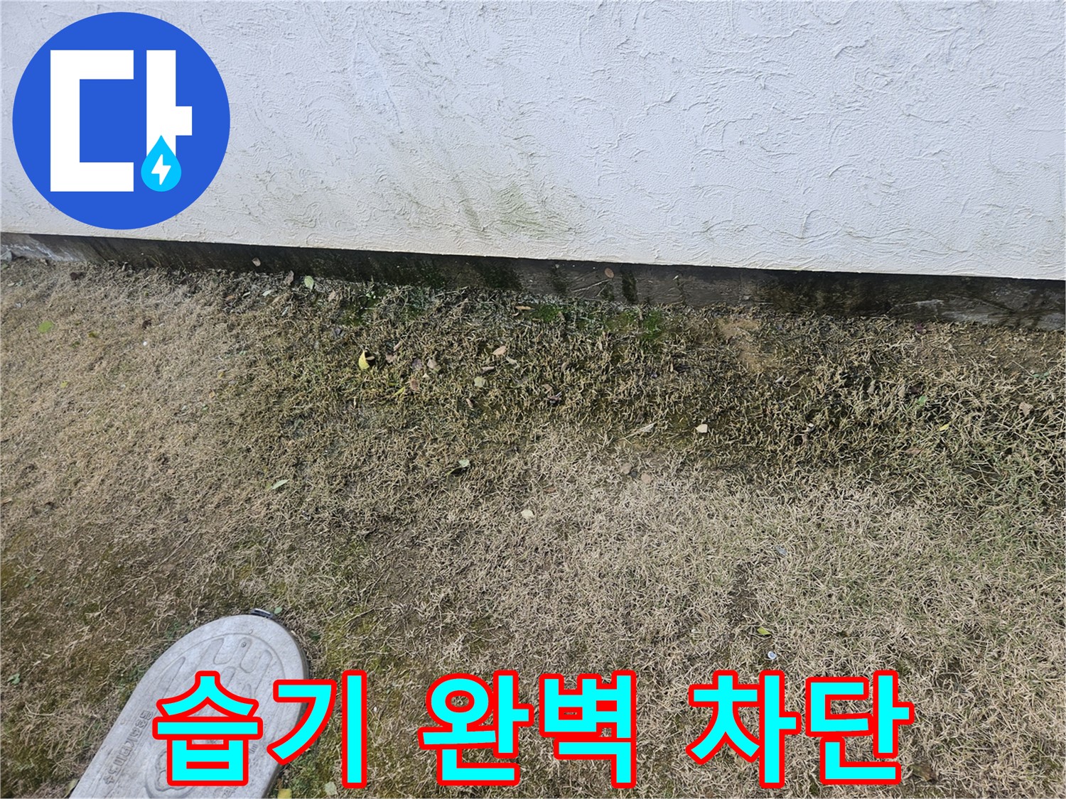 이천 아리역로 누수 - 습기 완벽 차단 및 녹조 재발 방지 완료