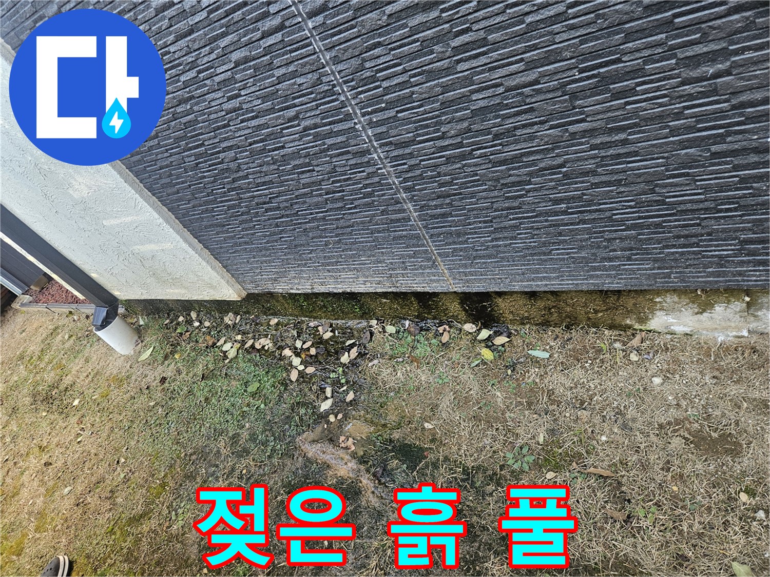 이천 아리역로 외벽 누수 확인 - 젖은 흙과 풀 - 원인 파악 시급