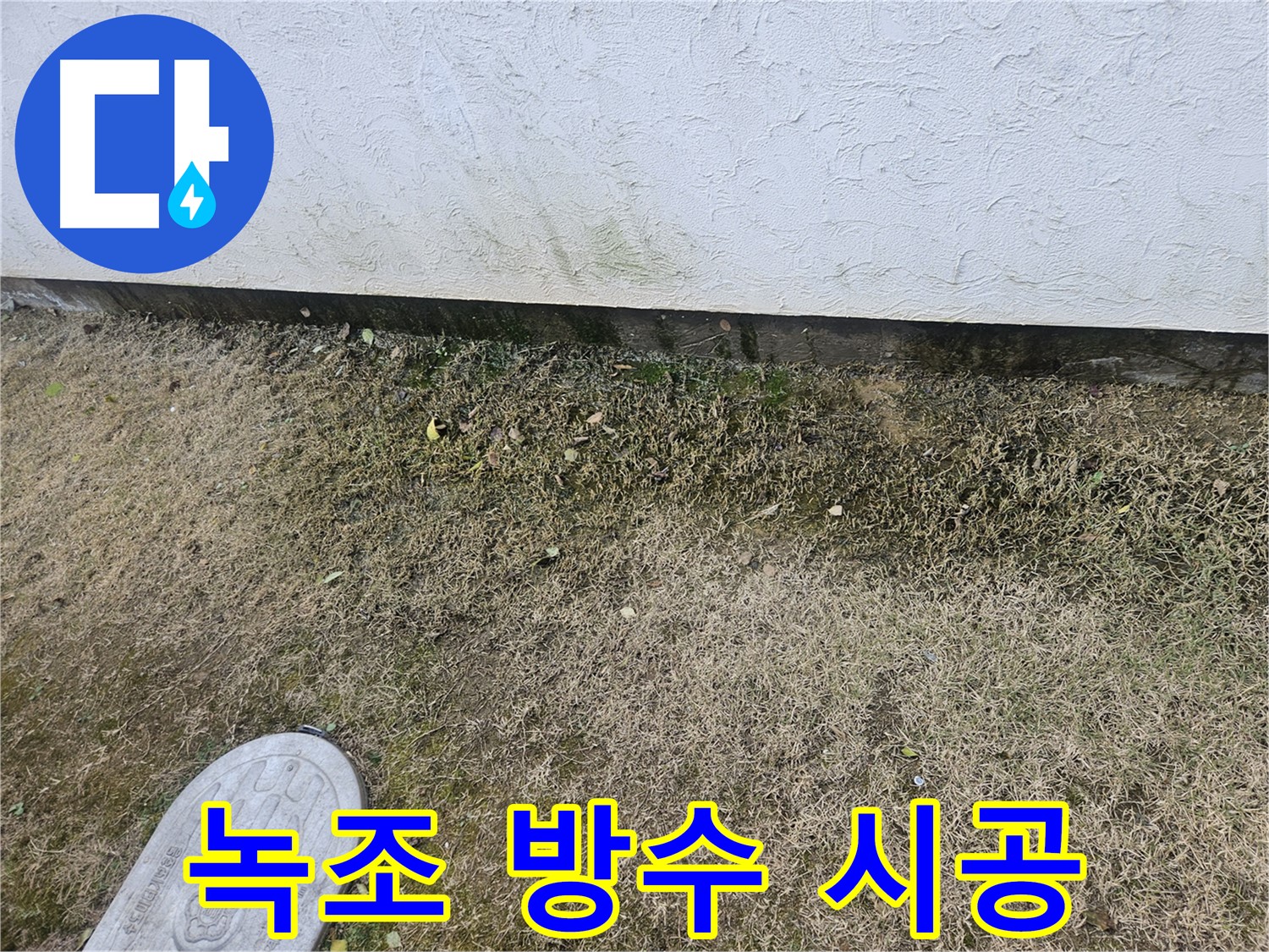 이천 창전동 누수 - 녹조 제거 및 완벽 방수 시공