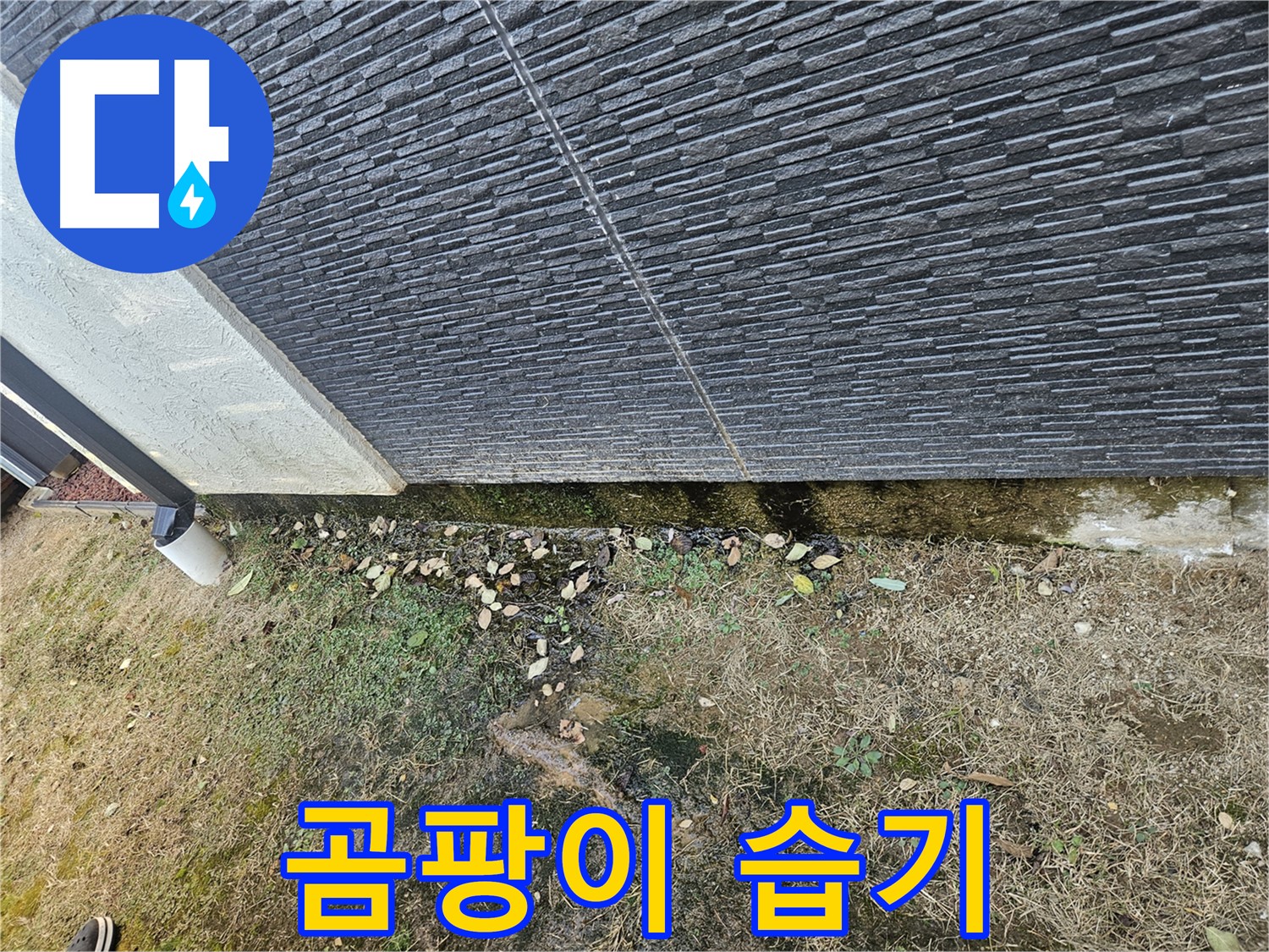이천시 마장면 아리역로 주변 외벽 누수 의심 - 곰팡이와 습기 - 건강 유의