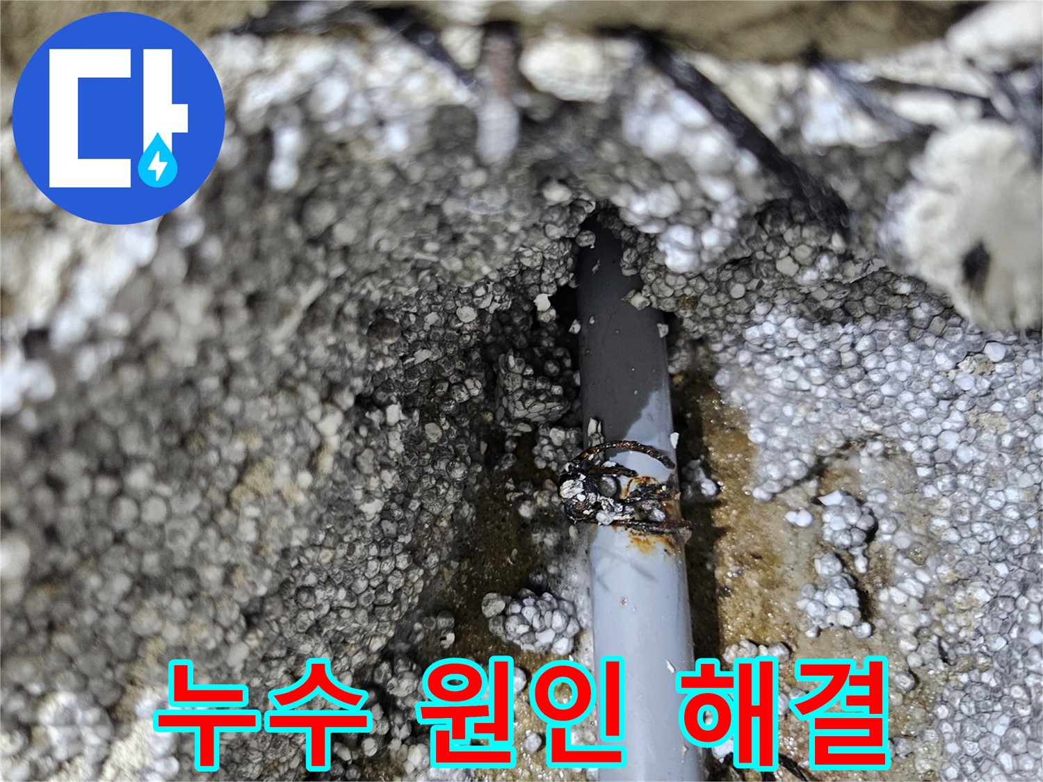 이천시 아리역로 누수 - 낡은 배관 누수, 원인 찾아 해결 완료
