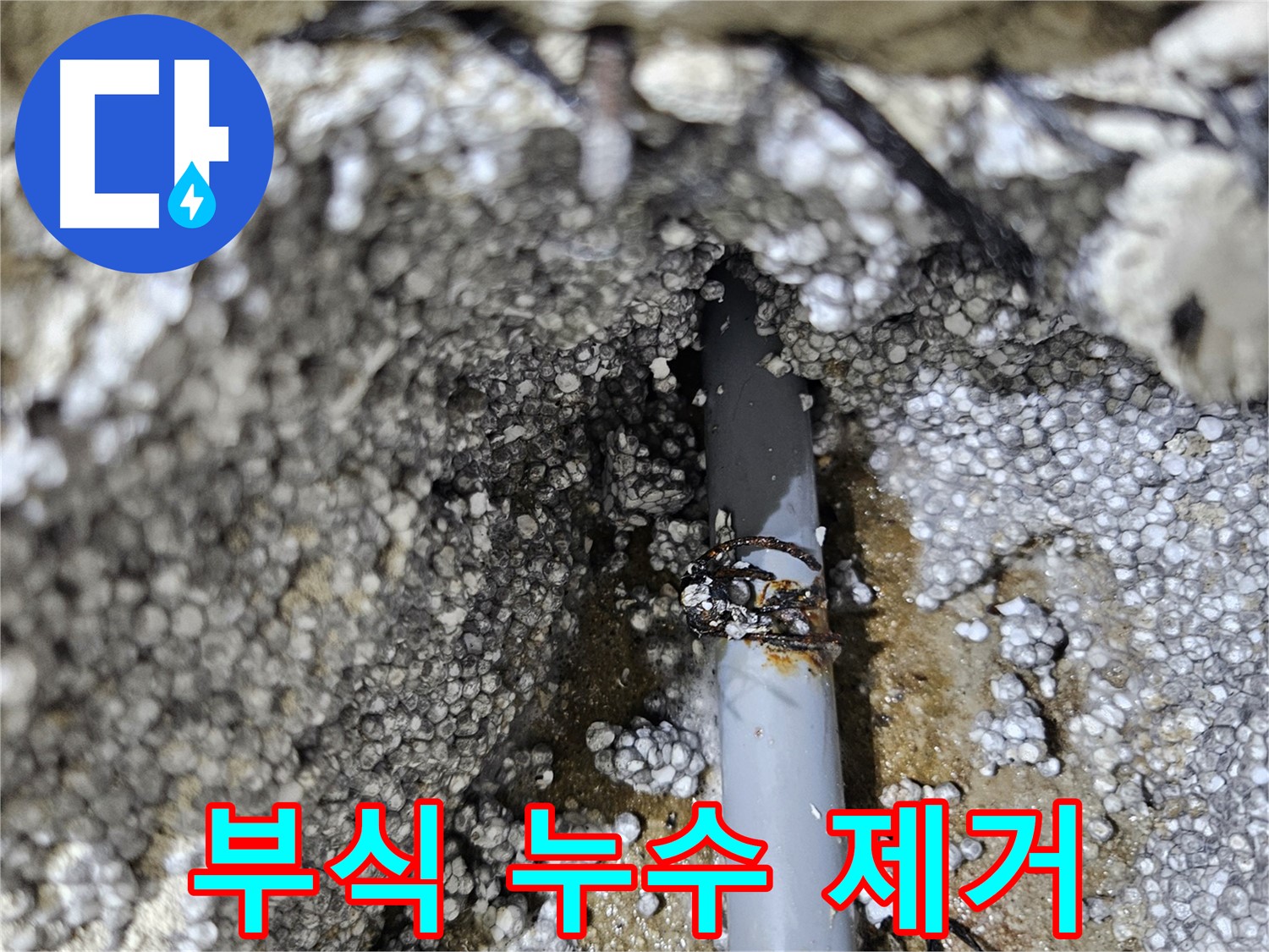 이천시 아리역로 누수 - 배관 부식으로 인한 누수 완벽 제거