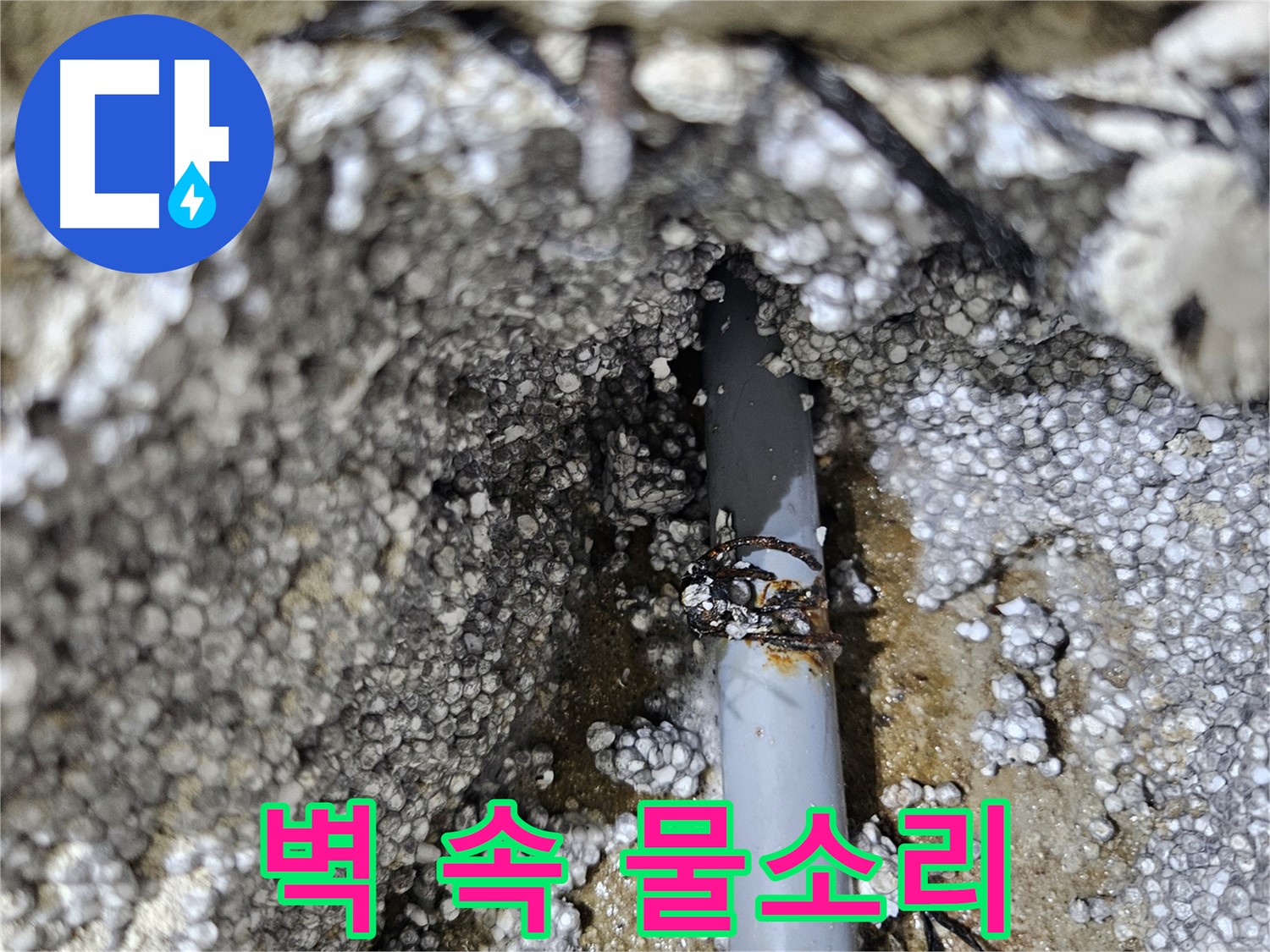 이천시 아리역로 누수 - 벽 속 물소리, 누수 위치