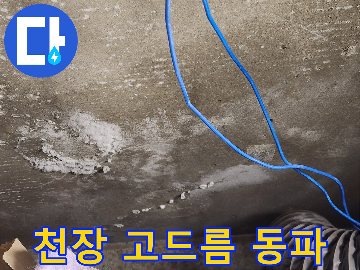 기흥구 보정동 콘크리트 천장 - 고드름 - 윗집 배관 동파 의심