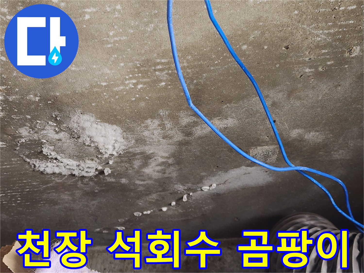 기흥구 콘크리트 천장 - 석회수와 곰팡이 - 완벽 해결