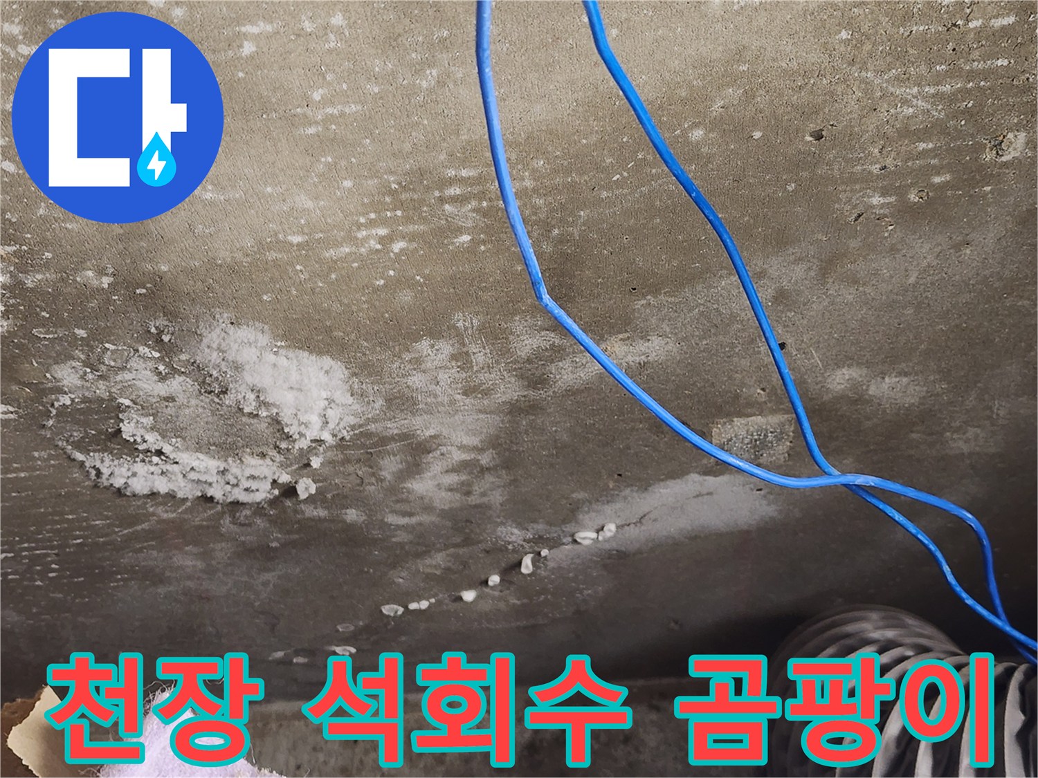 기흥구 콘크리트 천장 - 석회수와 곰팡이 - 완벽 해결