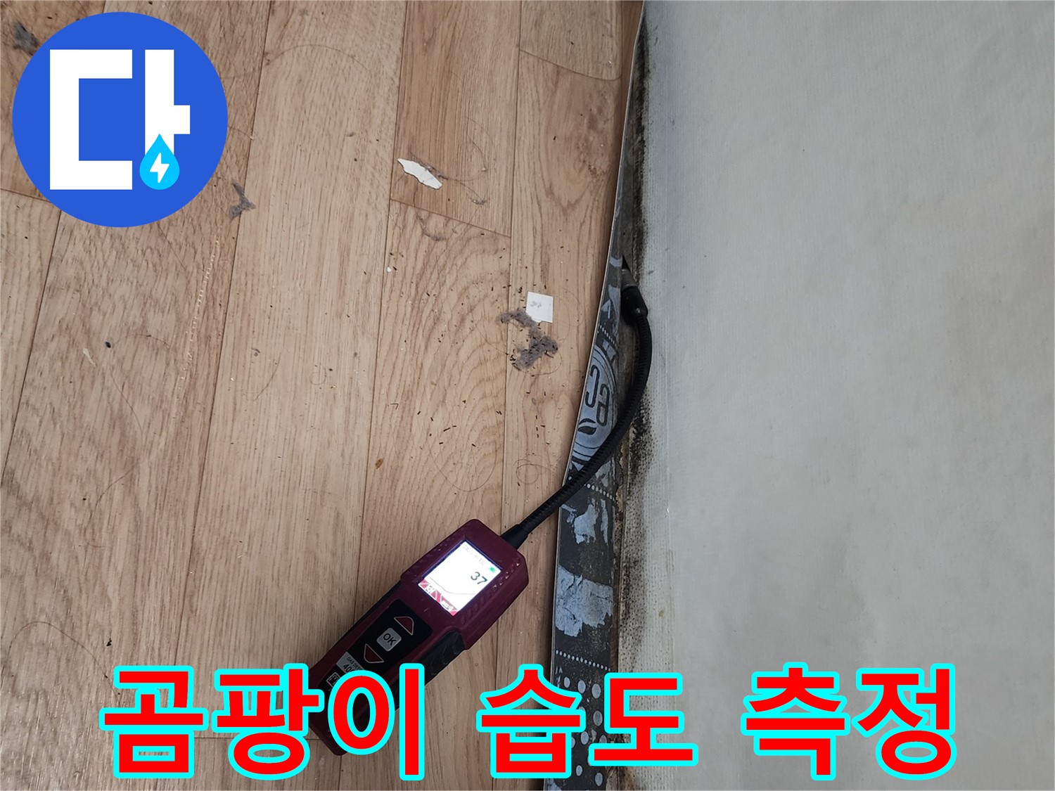 수원 장안구 대림빌라 - 곰팡이 습도 측정으로 누수 확인