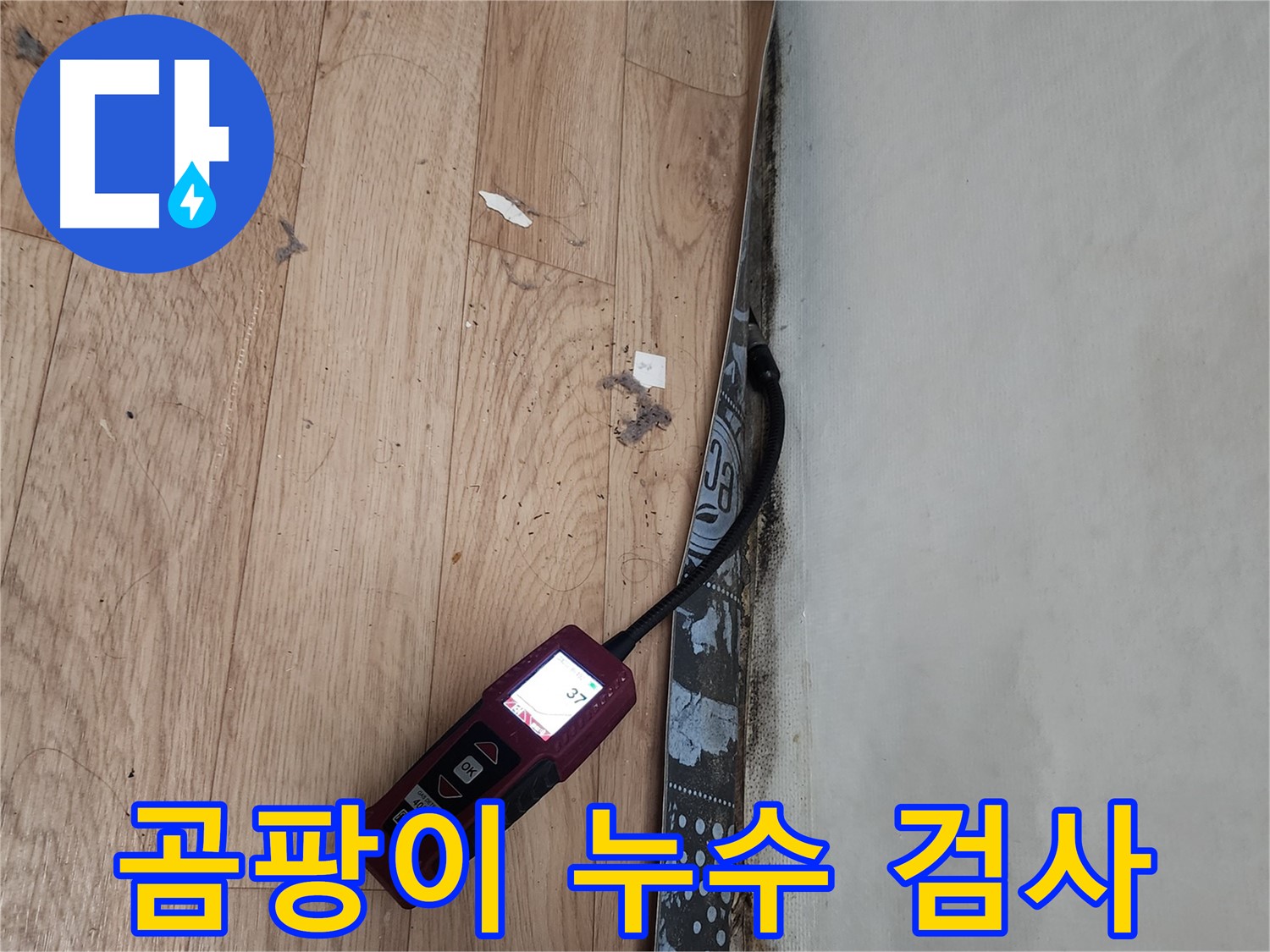 장안구 누수 - 곰팡이, 누수 검사 완벽 진행 및 곰팡이 완벽 차단