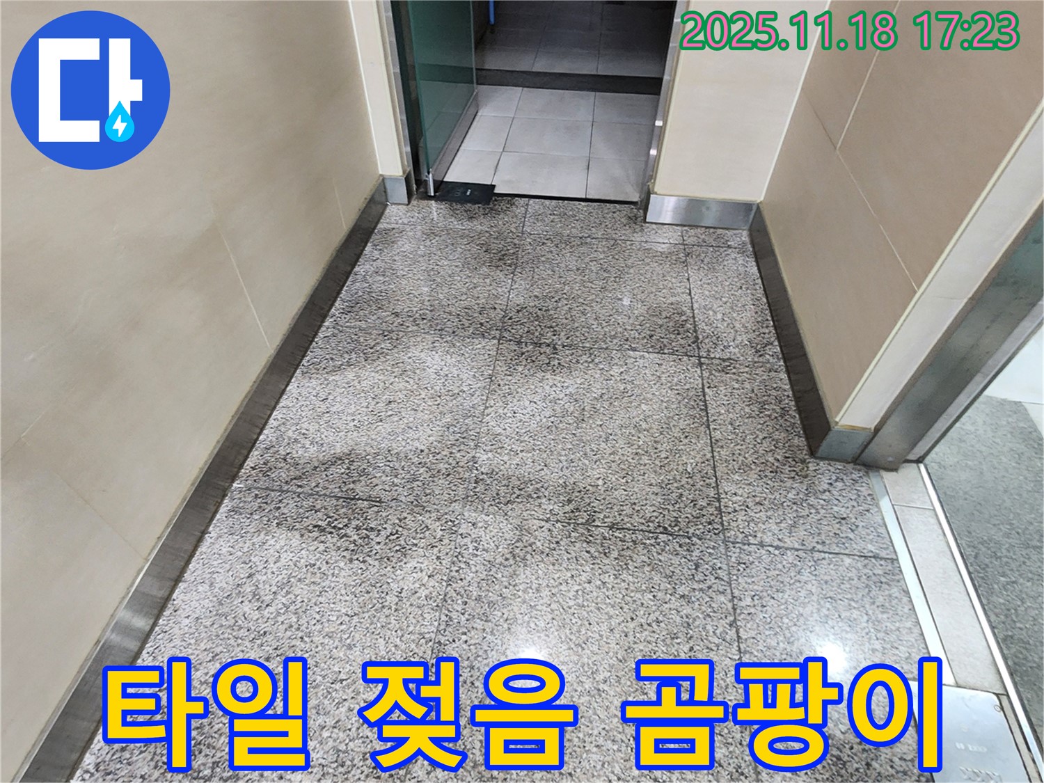 포천시 내촌면 소학리에서 발생한 타일 젖음 - 곰팡이 발생 전 누수 긴급 점검으로 해결합니다.