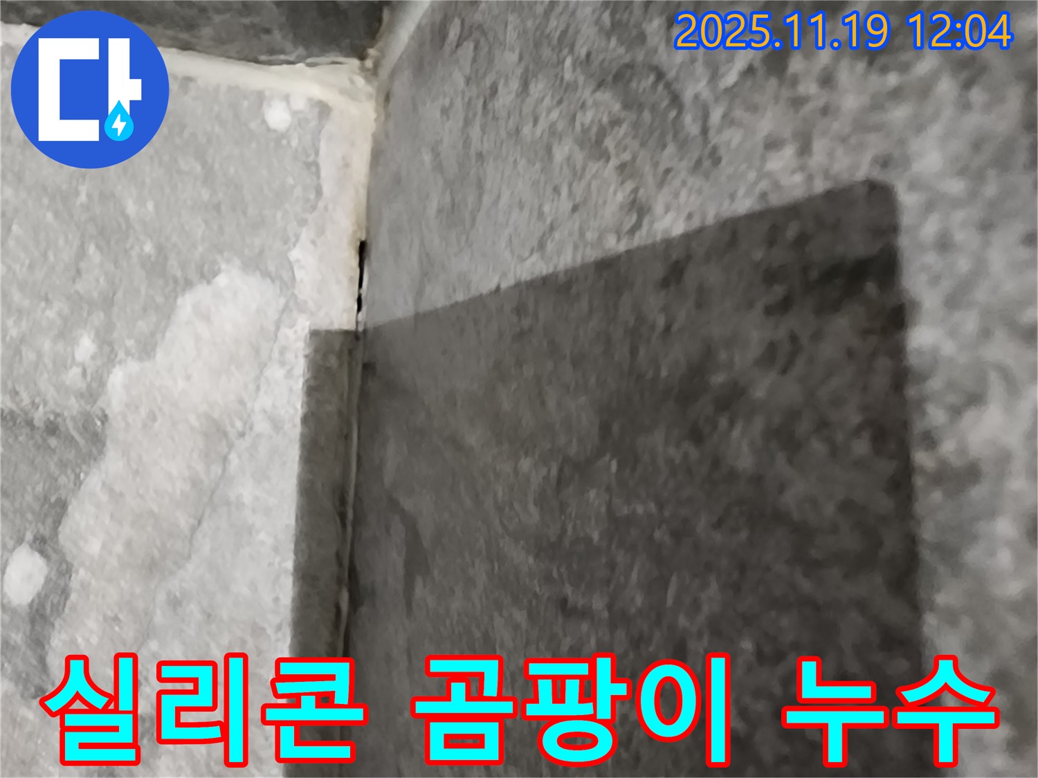 내촌면 젠다이 - 윗면 실리콘 곰팡이, 누수 신호