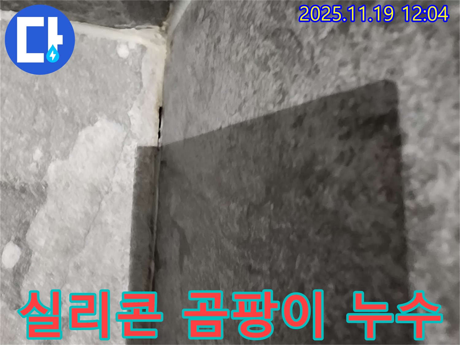내촌면 젠다이 - 윗면 실리콘 곰팡이, 누수 신호