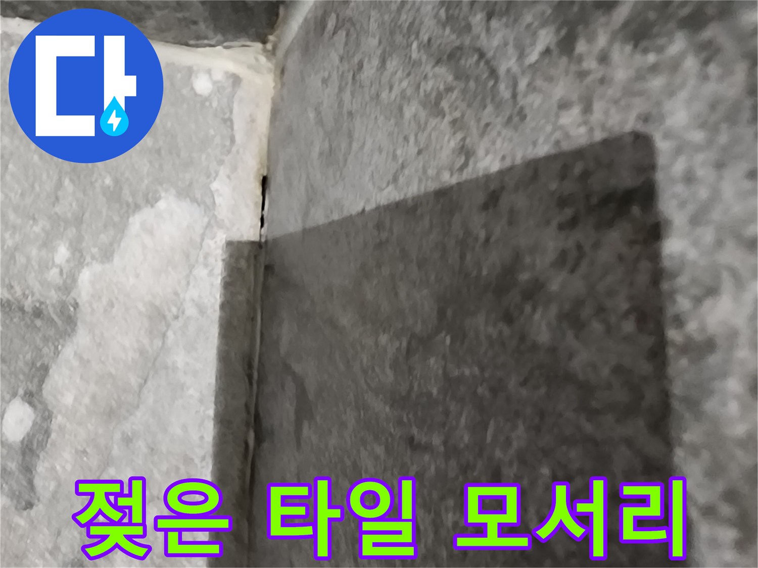 습기로 인해 짙게 변한 욕실 타일 사이 틈새
