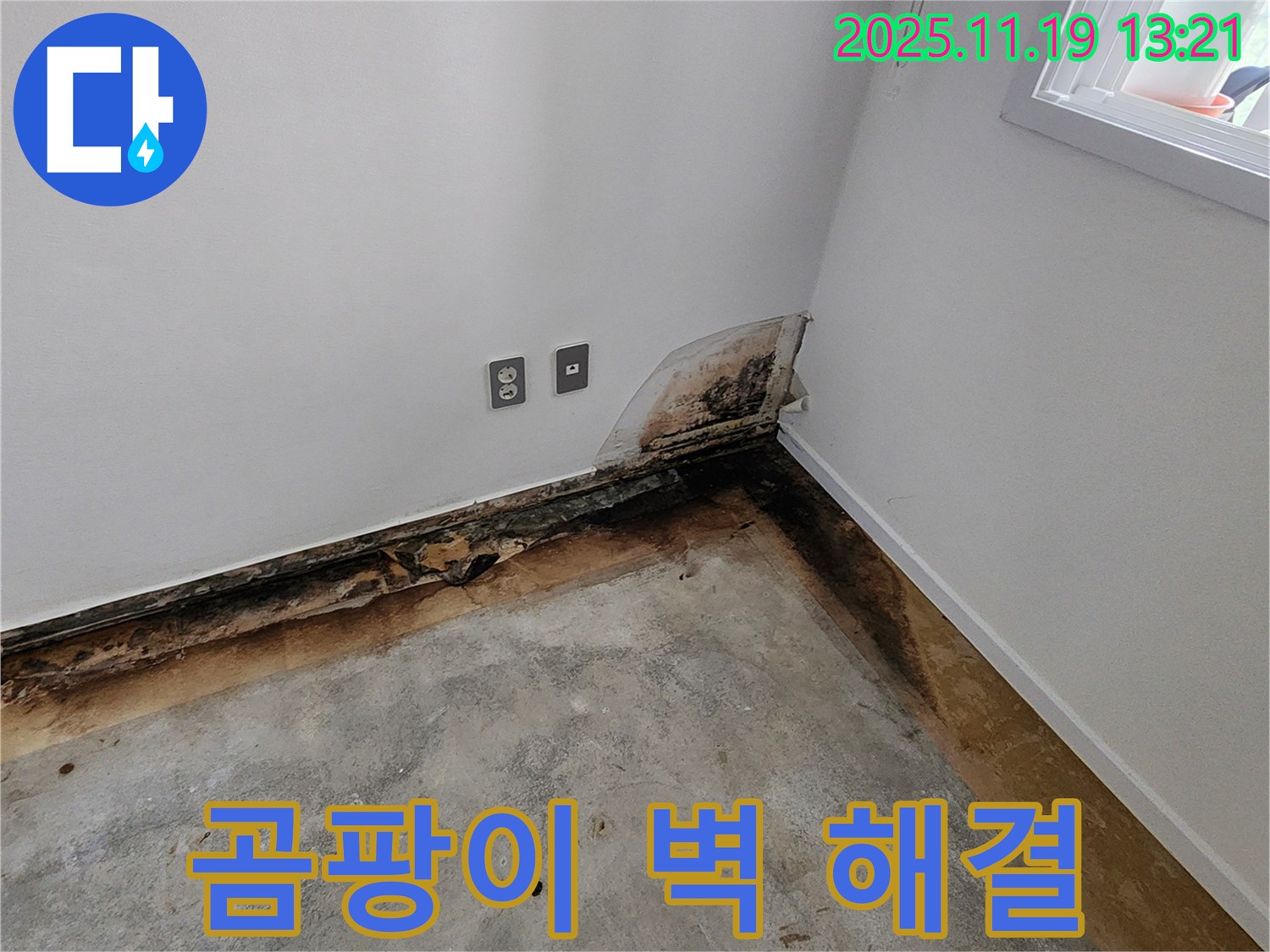 내촌면 내리 주택 누수 - 곰팡이 벽 문제, 누수탐지 전문가가 해결