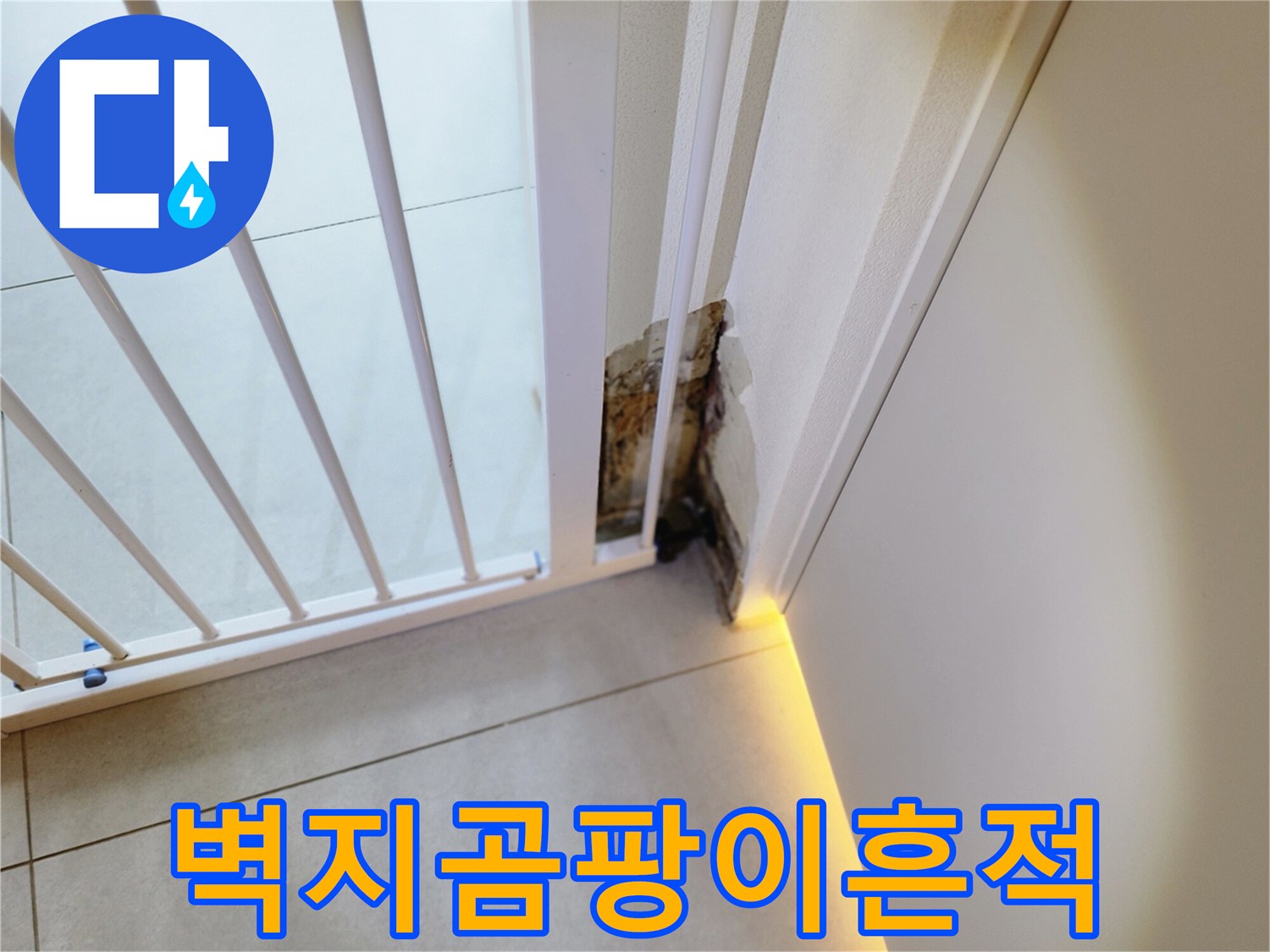 누수로-인한-벽체-하단부-곰팡이-발생-모습