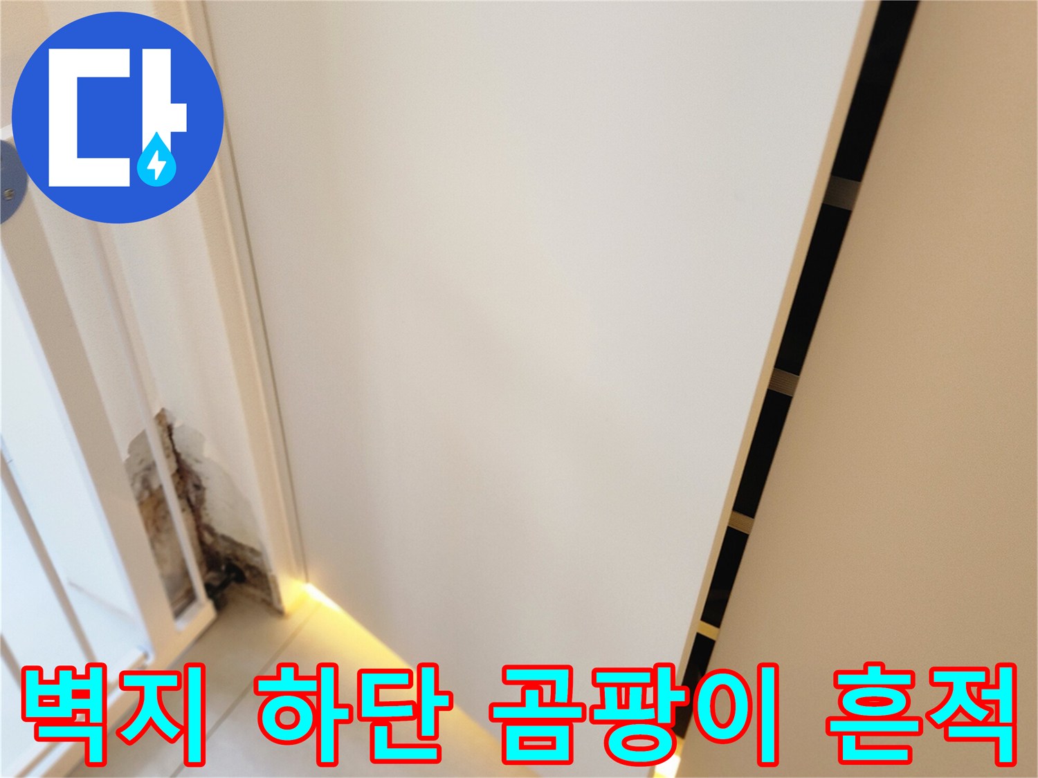 포천 내촌 현장-습기로 인해 검게 변한 벽지 하단 부위