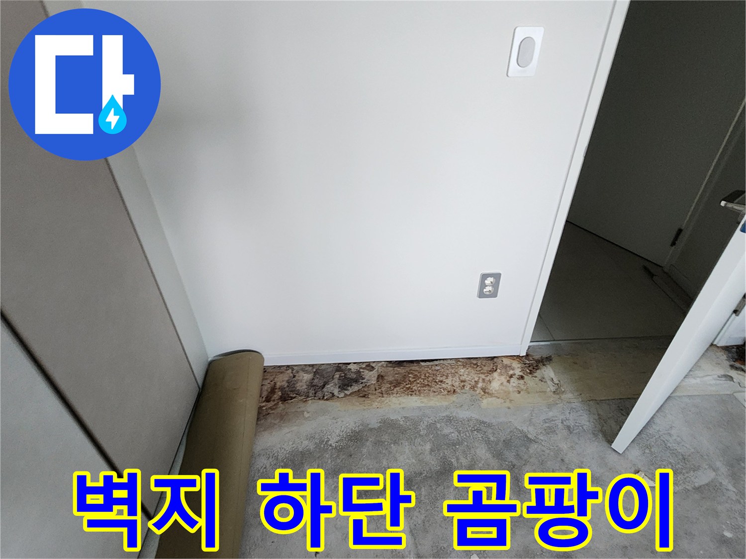 포천 내촌 현장-오염된 벽지 하단과 젖은 바닥 경계 부위