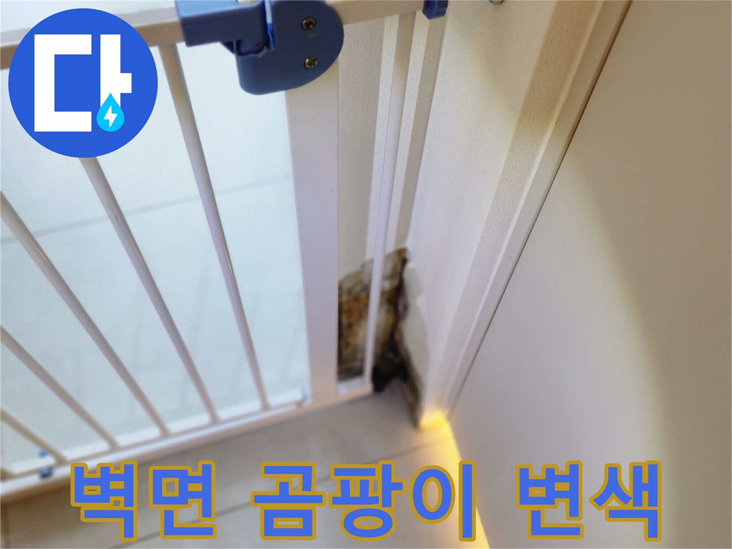 포천 내촌면 현장-벽지 하단부 곰팡이와 변색된 흔적