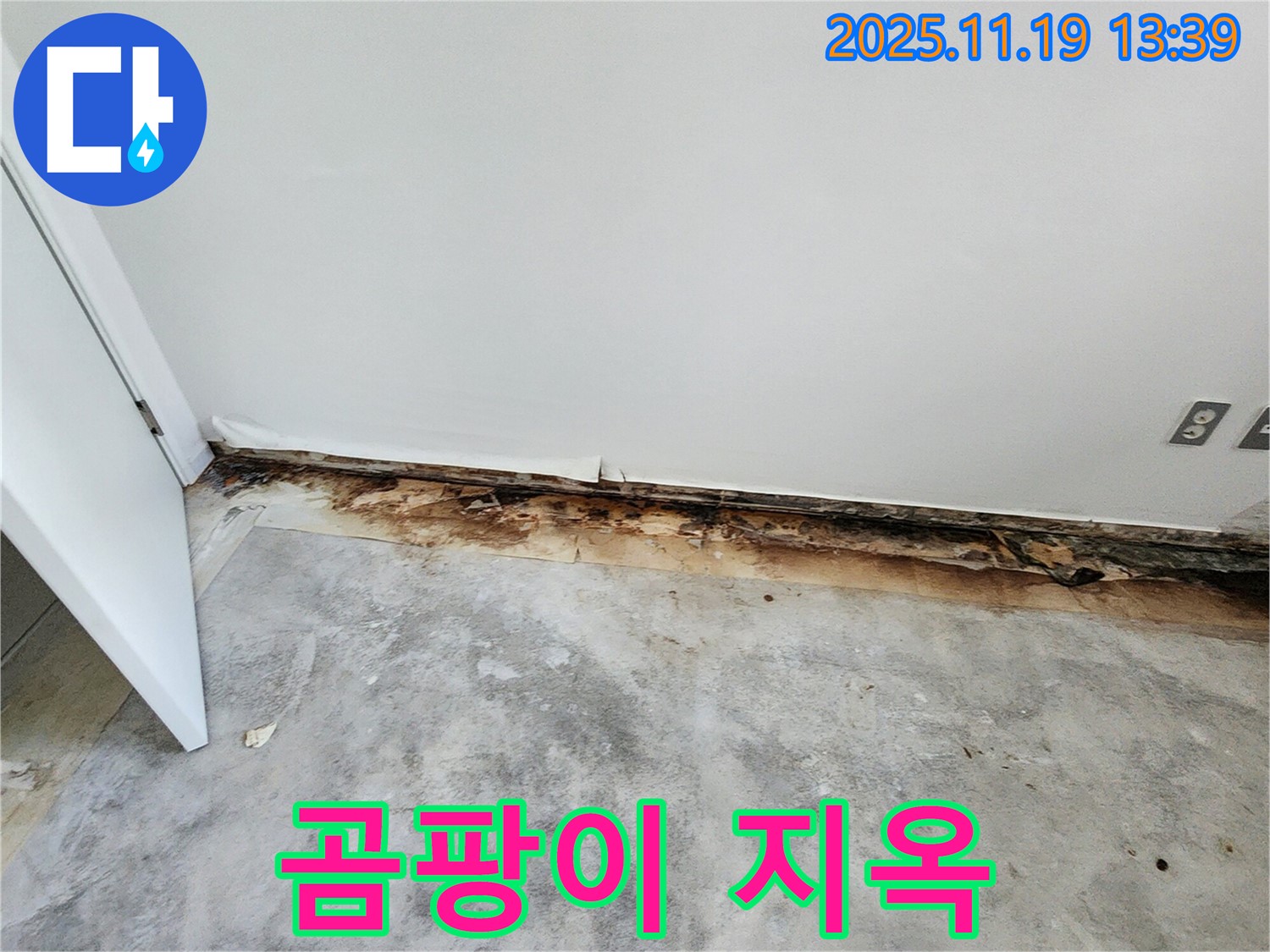 포천시 내촌면 누수 - 걸레받이가 곰팡이 지옥으로 변했다면 누수 해결이 절실합니다!