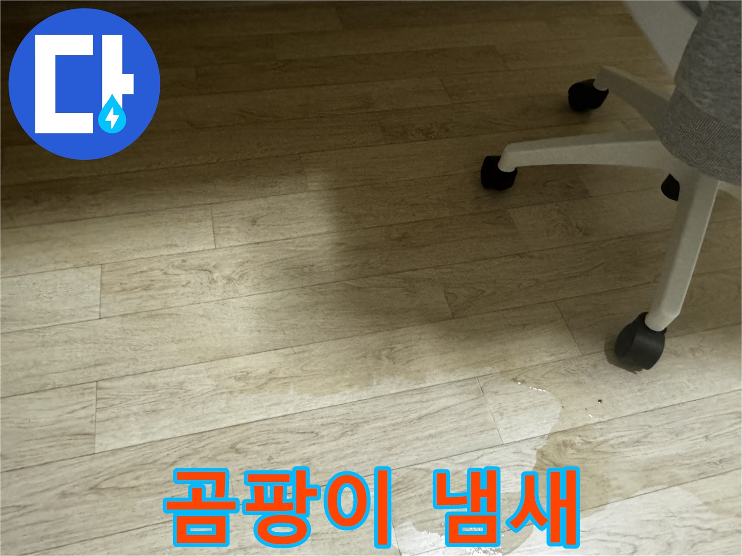 곰팡이 냄새가 나는 환경 - 건강에 해로운 영향을 줄 수 있습니다.